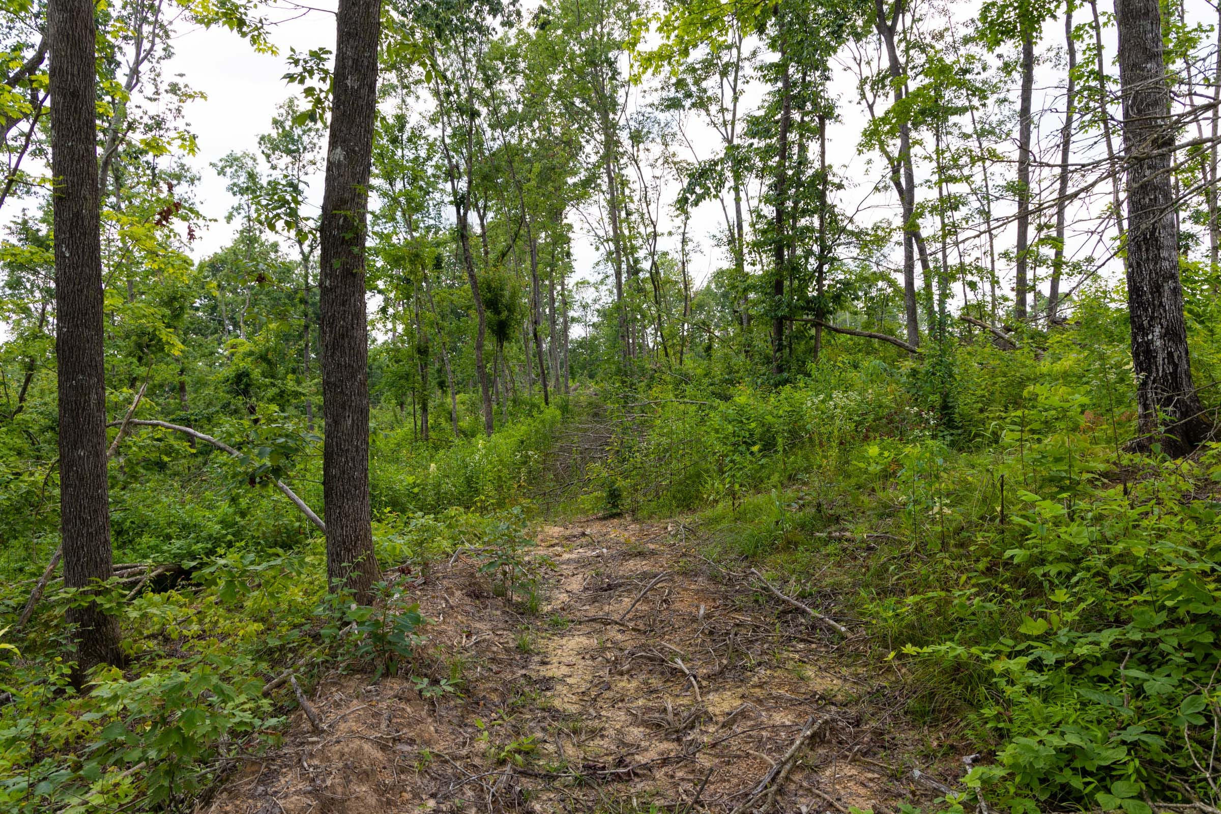 Creek Hollow Phase II Tract 57 photo 15