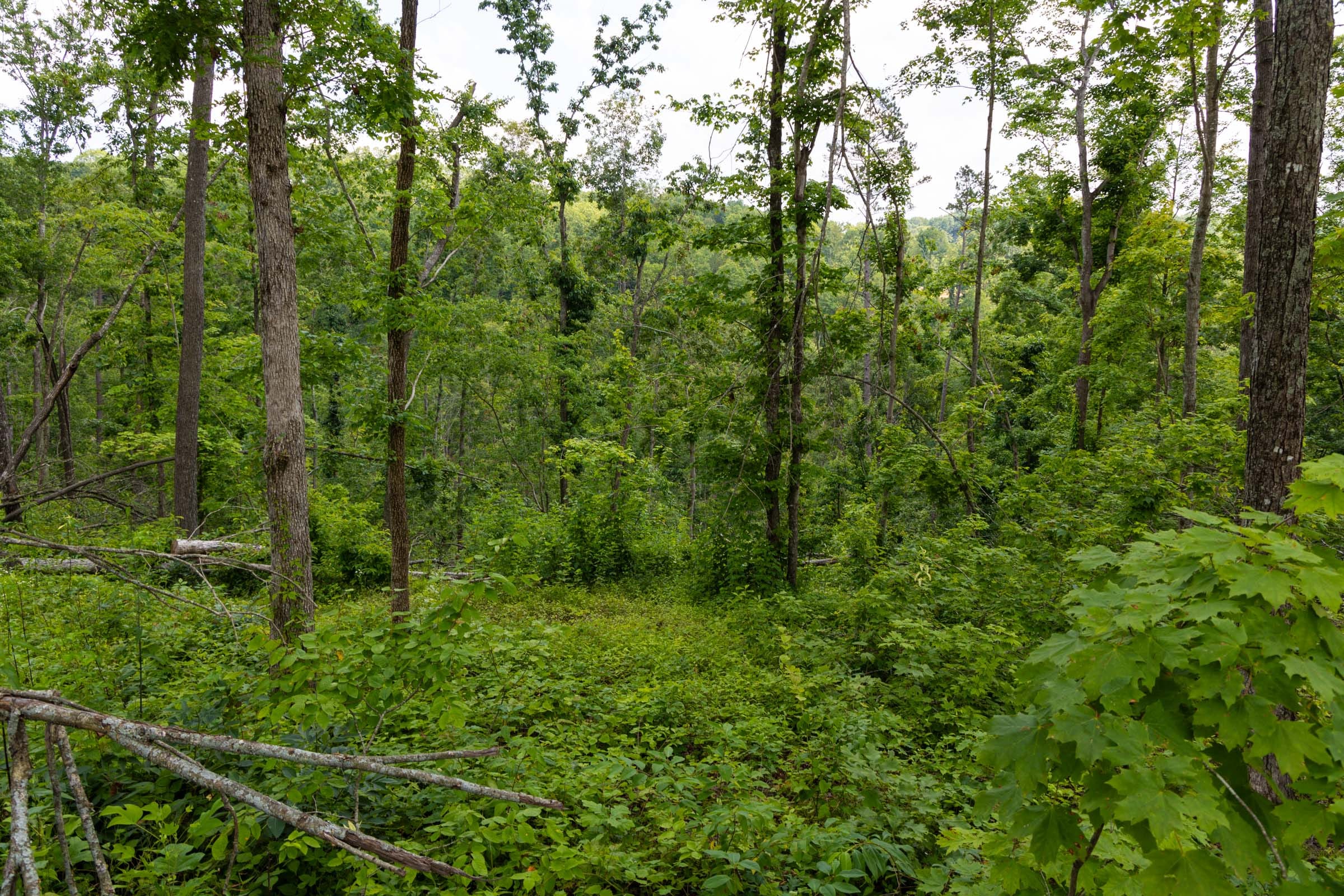 Creek Hollow Phase II Tract 57 photo 1