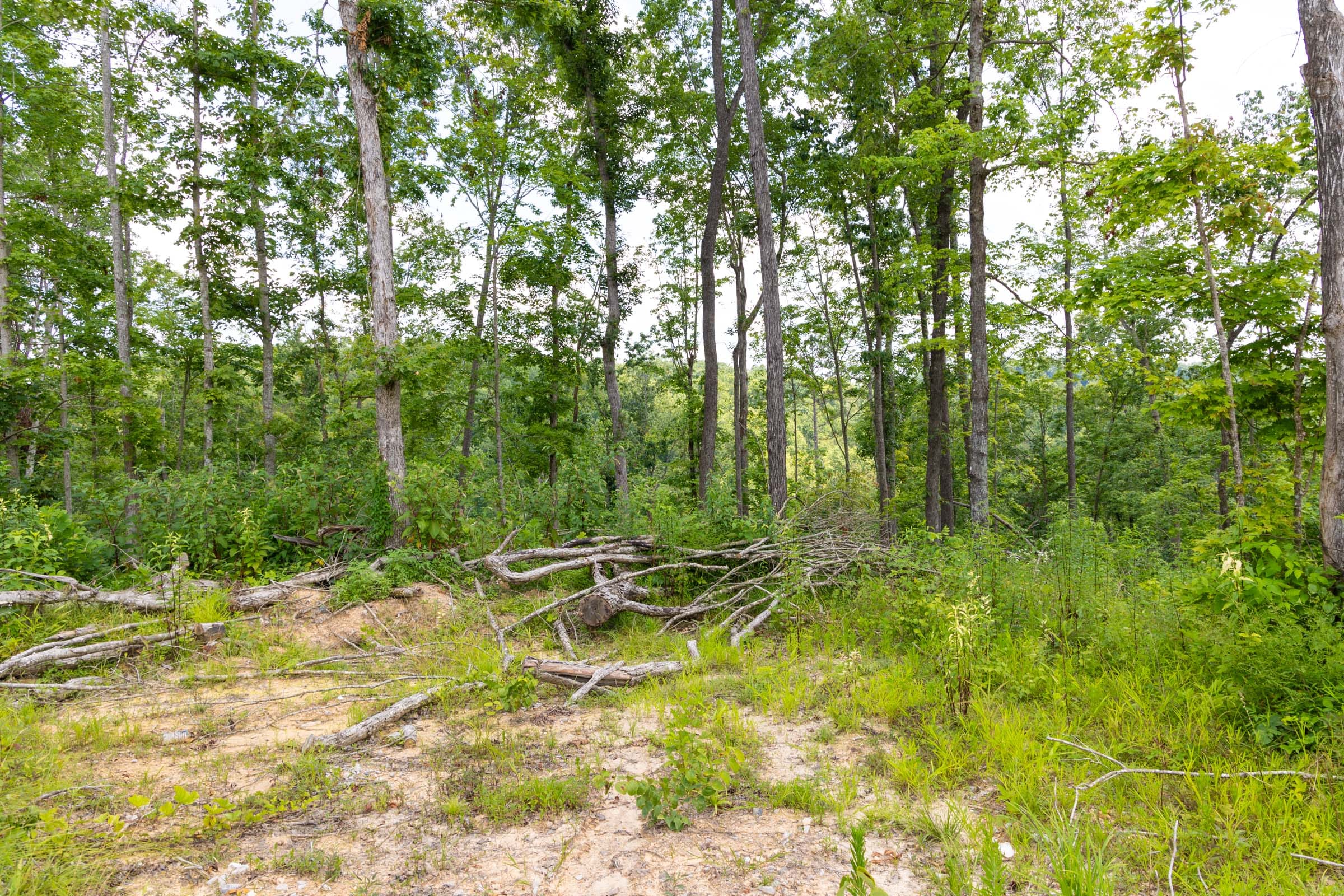 Creek Hollow Phase II Tract 57 photo 10