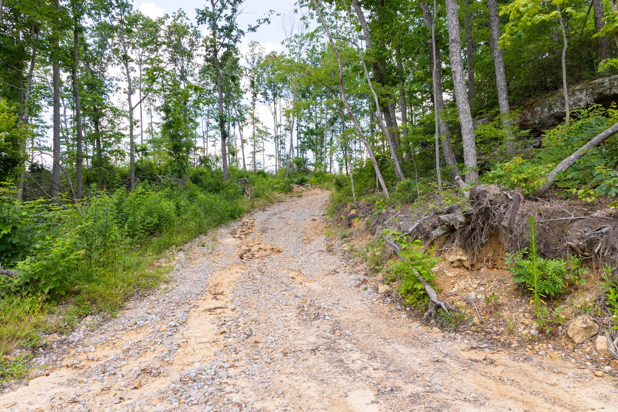 Creek Hollow Phase II Tract 57 photo 11