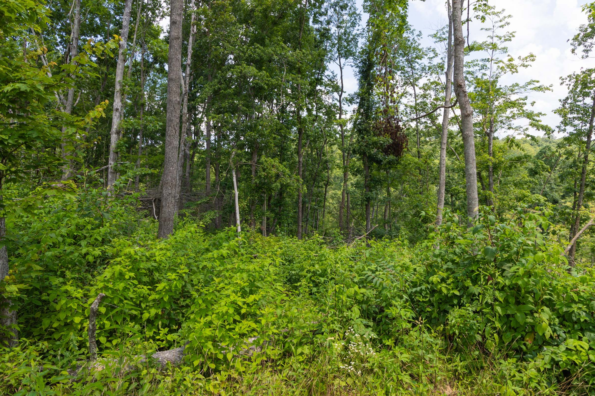 Creek Hollow Phase II Tract 57 photo 14