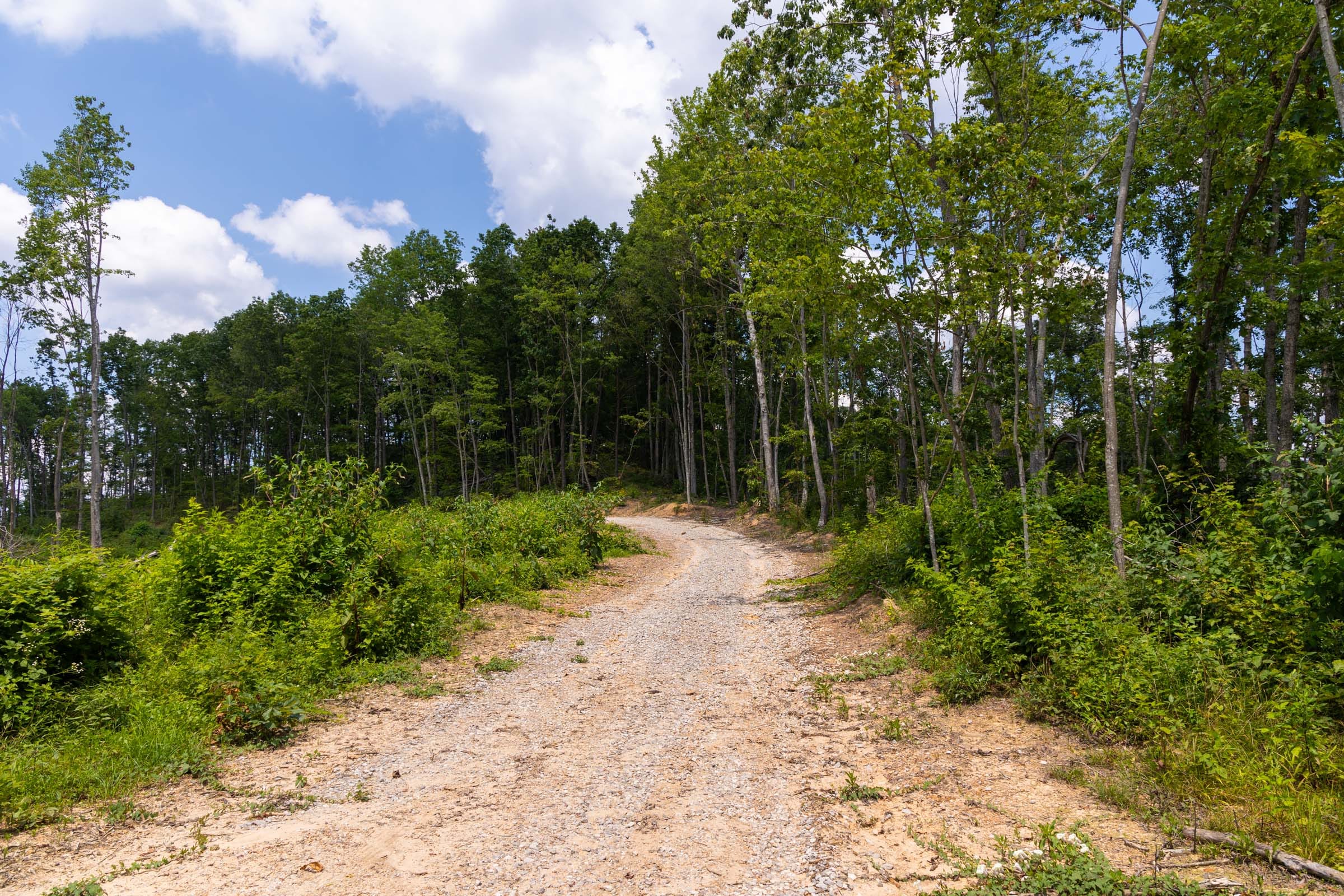 Creek Hollow Phase II Tract 57 photo 6