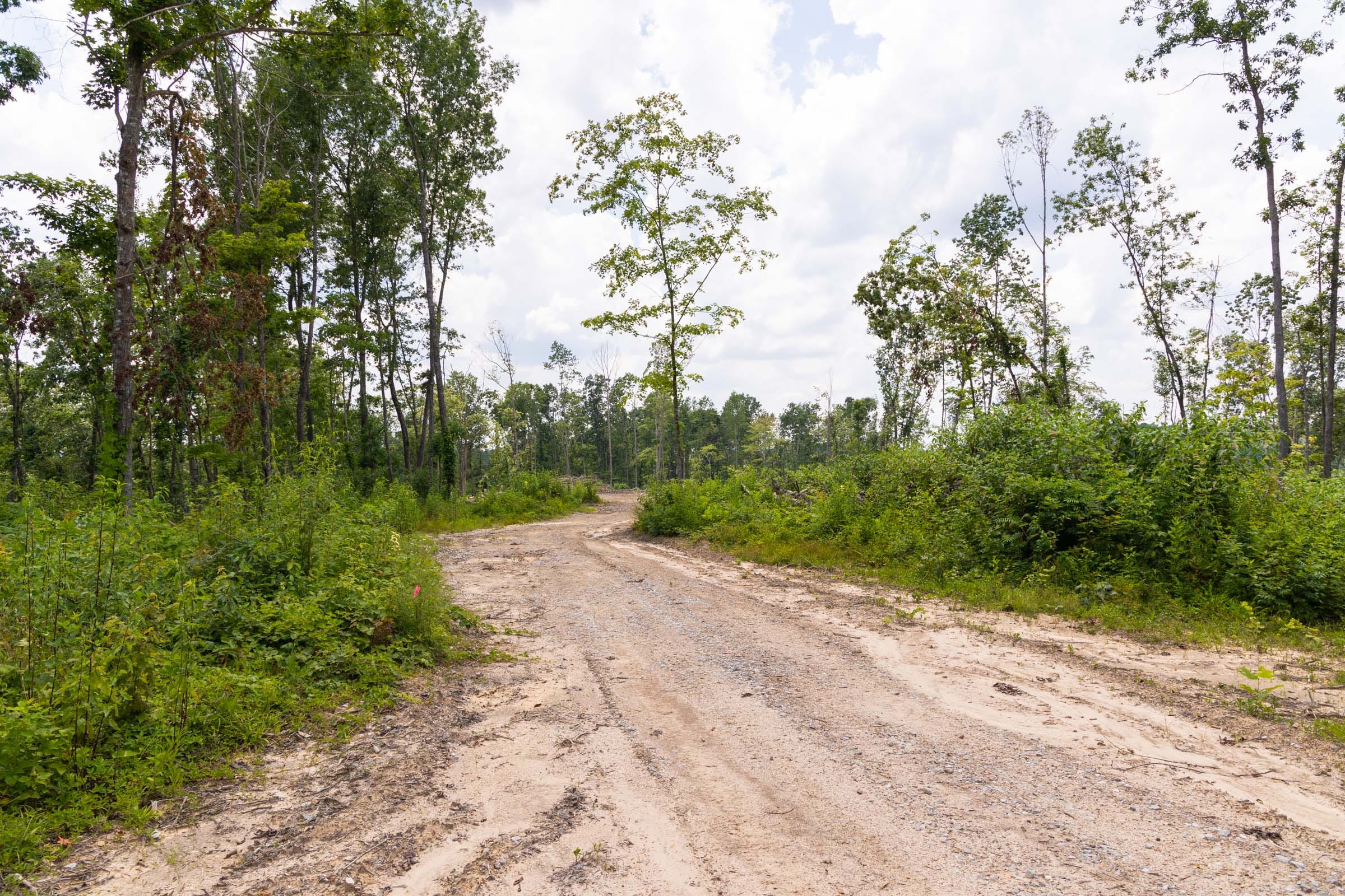 Creek Hollow Phase II Tract 57 photo 2