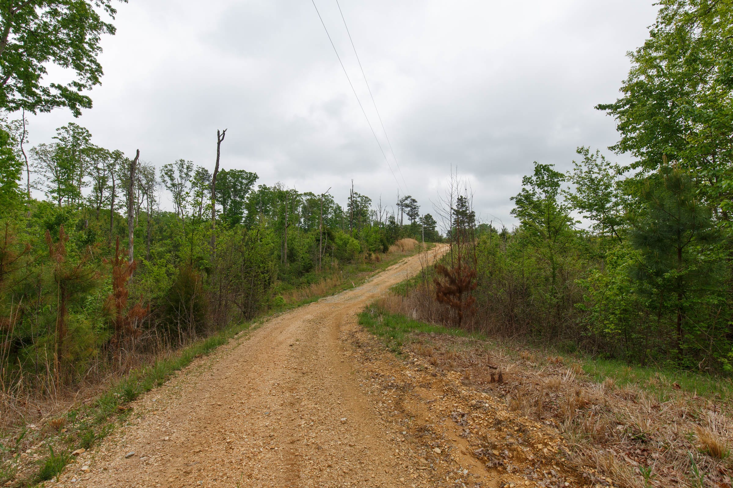Red Barn Ranch Tract 14 photo 1