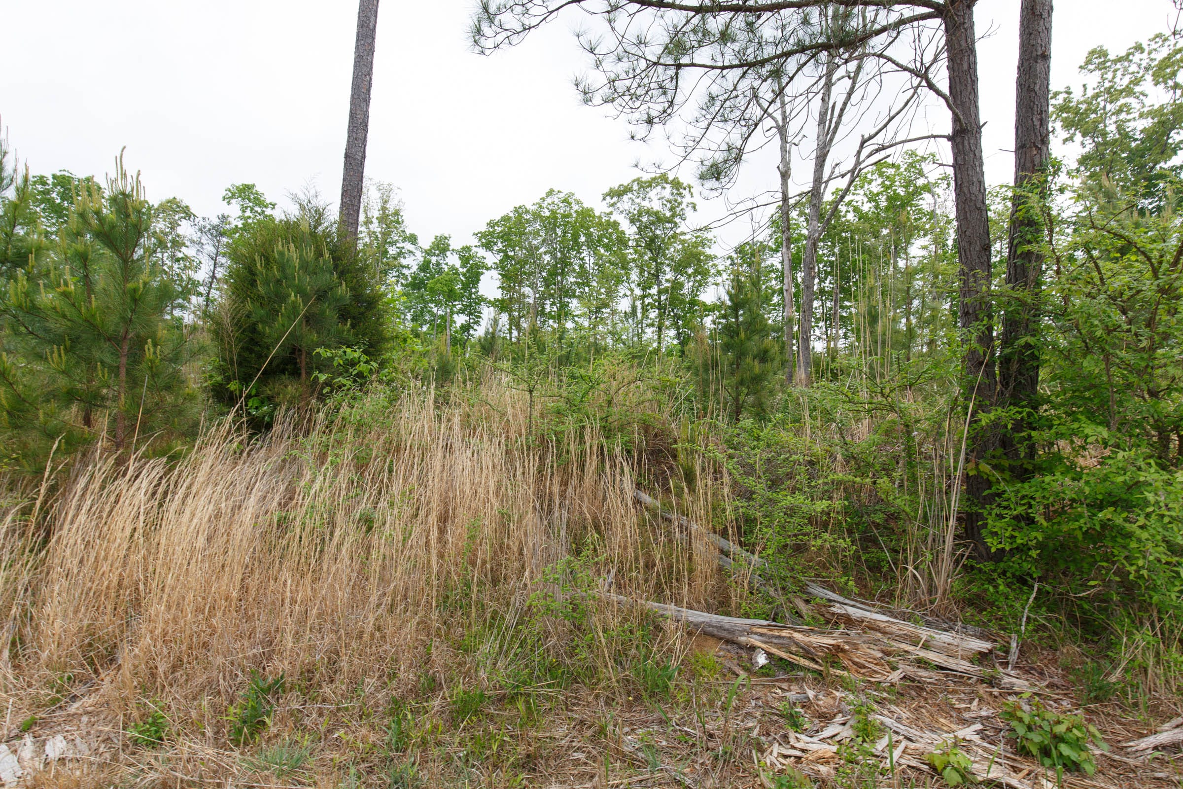 Red Barn Ranch Tract 14 photo 5