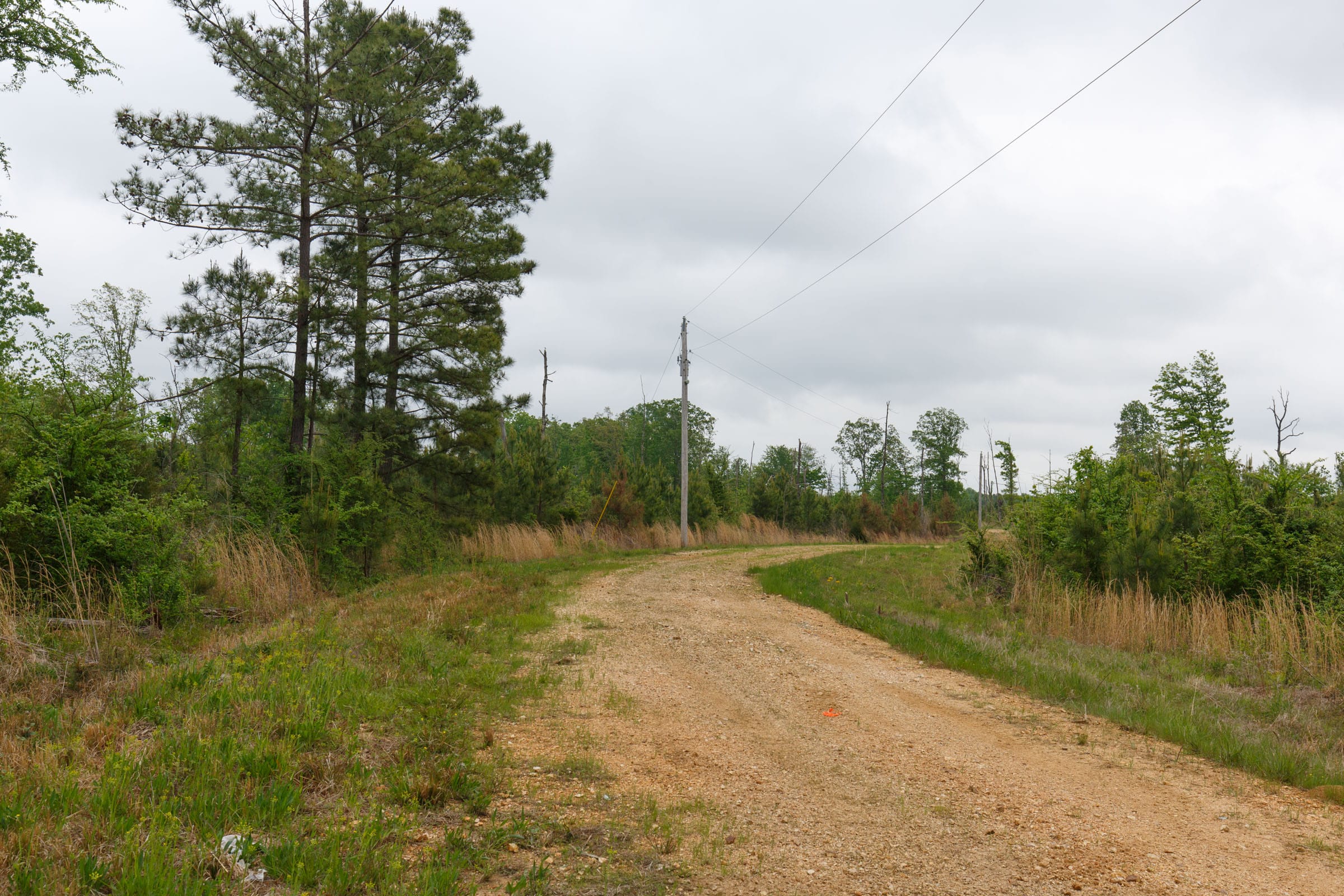 Red Barn Ranch Tract 14 photo 4