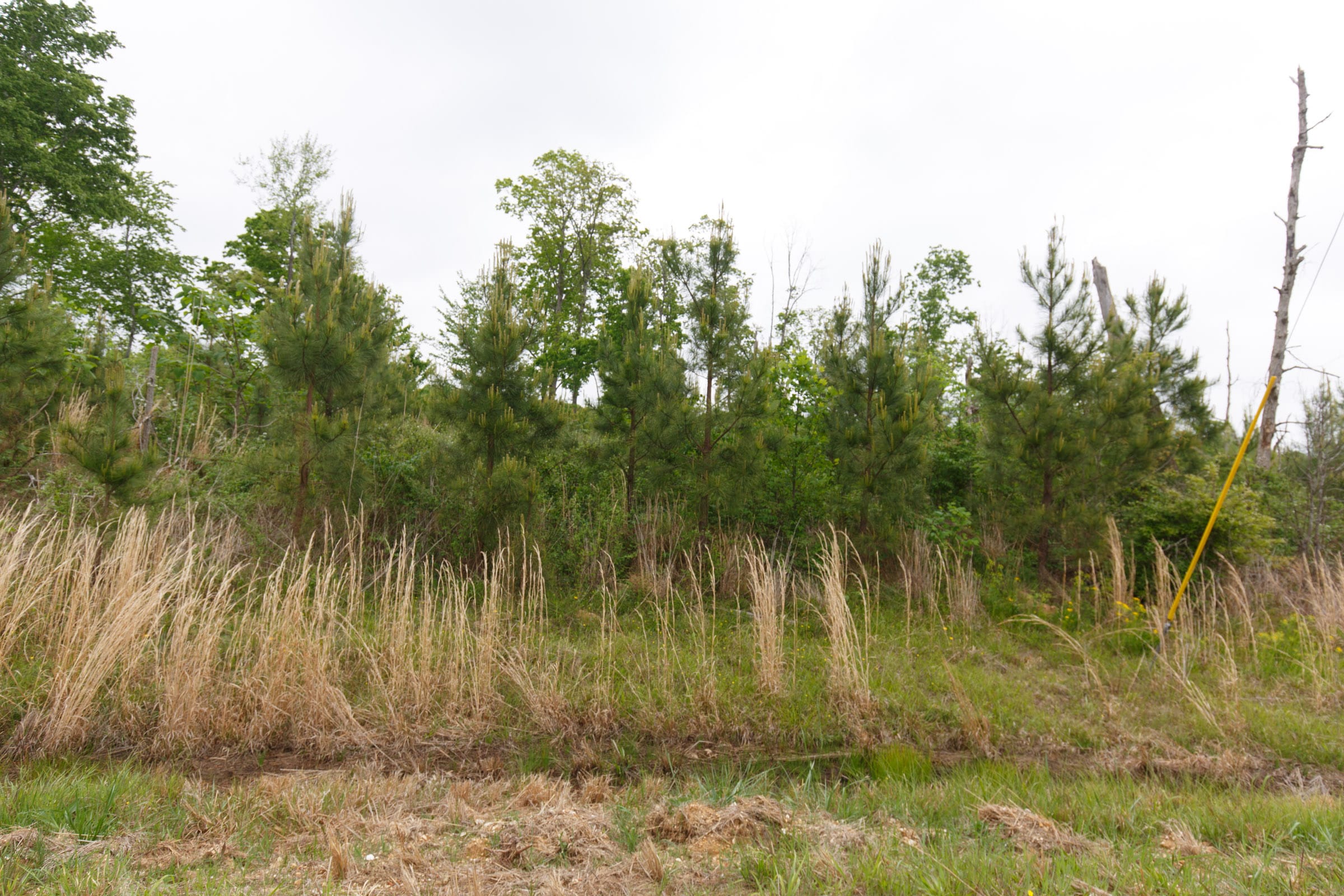 Red Barn Ranch Tract 14 photo 6