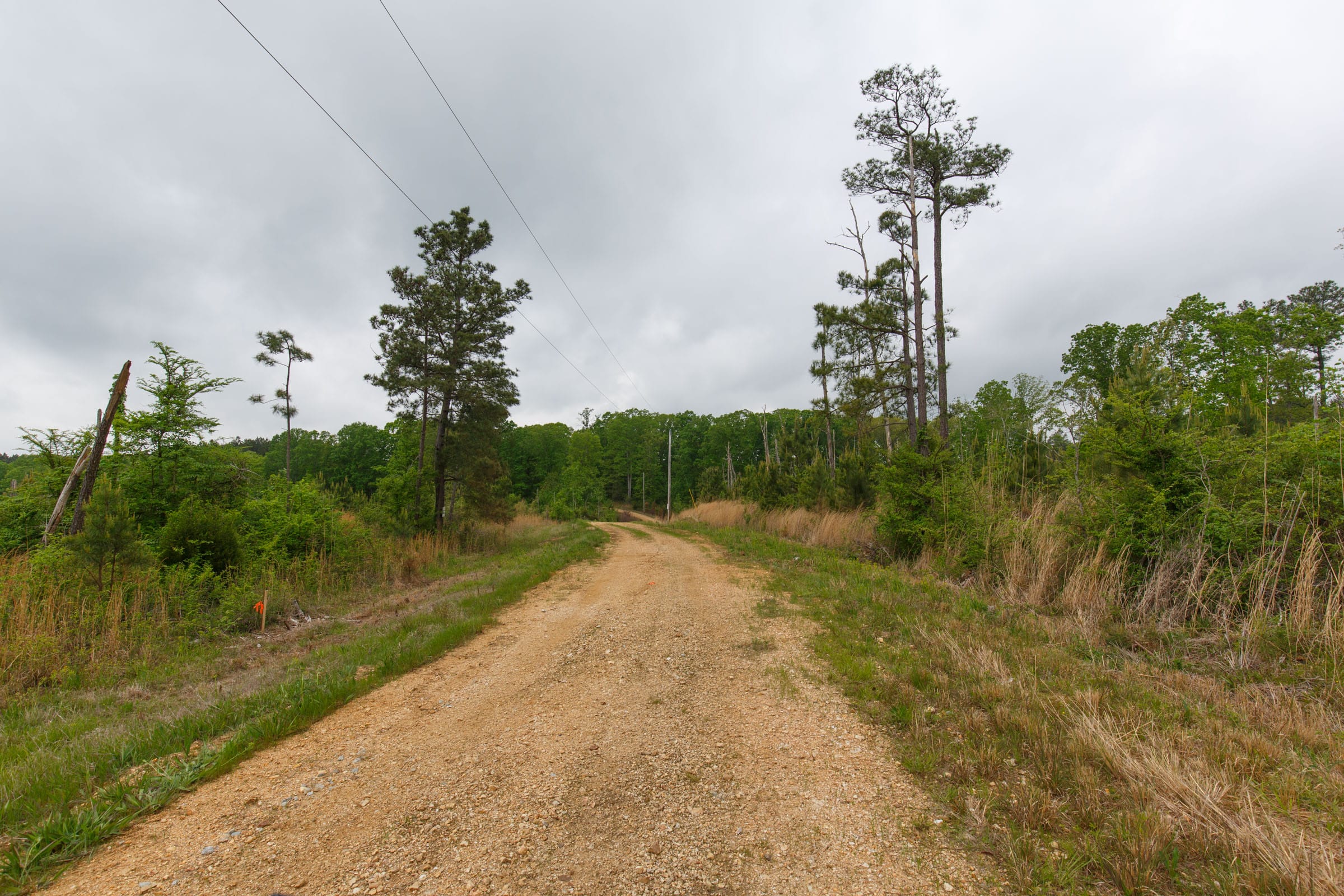 Red Barn Ranch Tract 14 photo 7