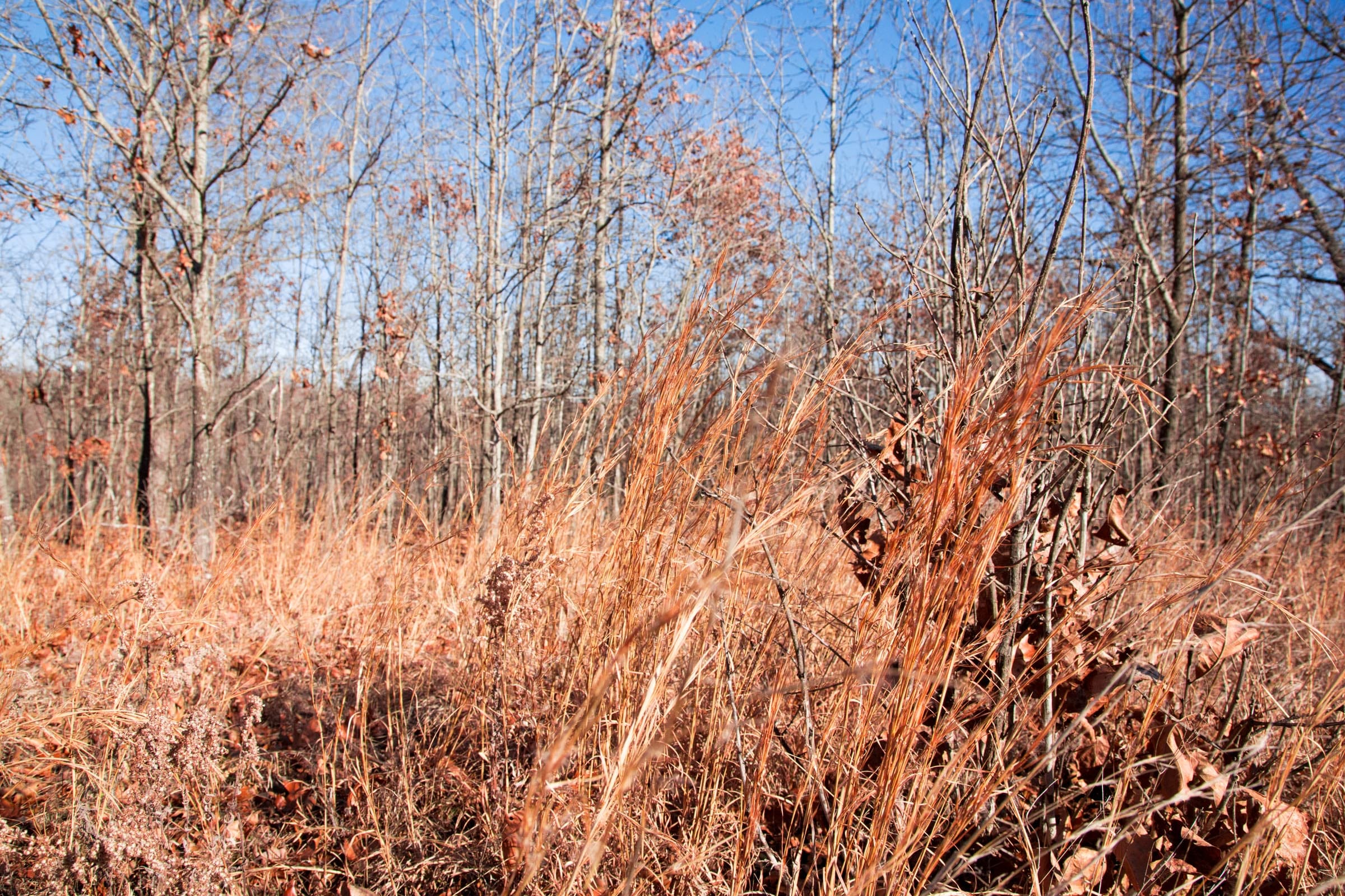 Buffalo Hills Tract 4 photo 2