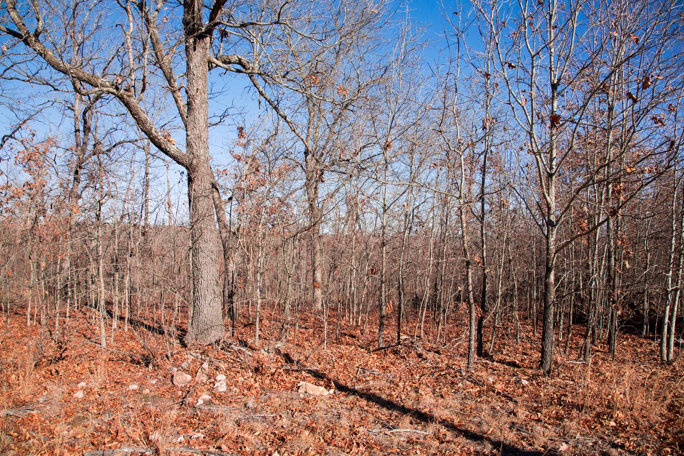 Buffalo Hills Tract 4 photo 3