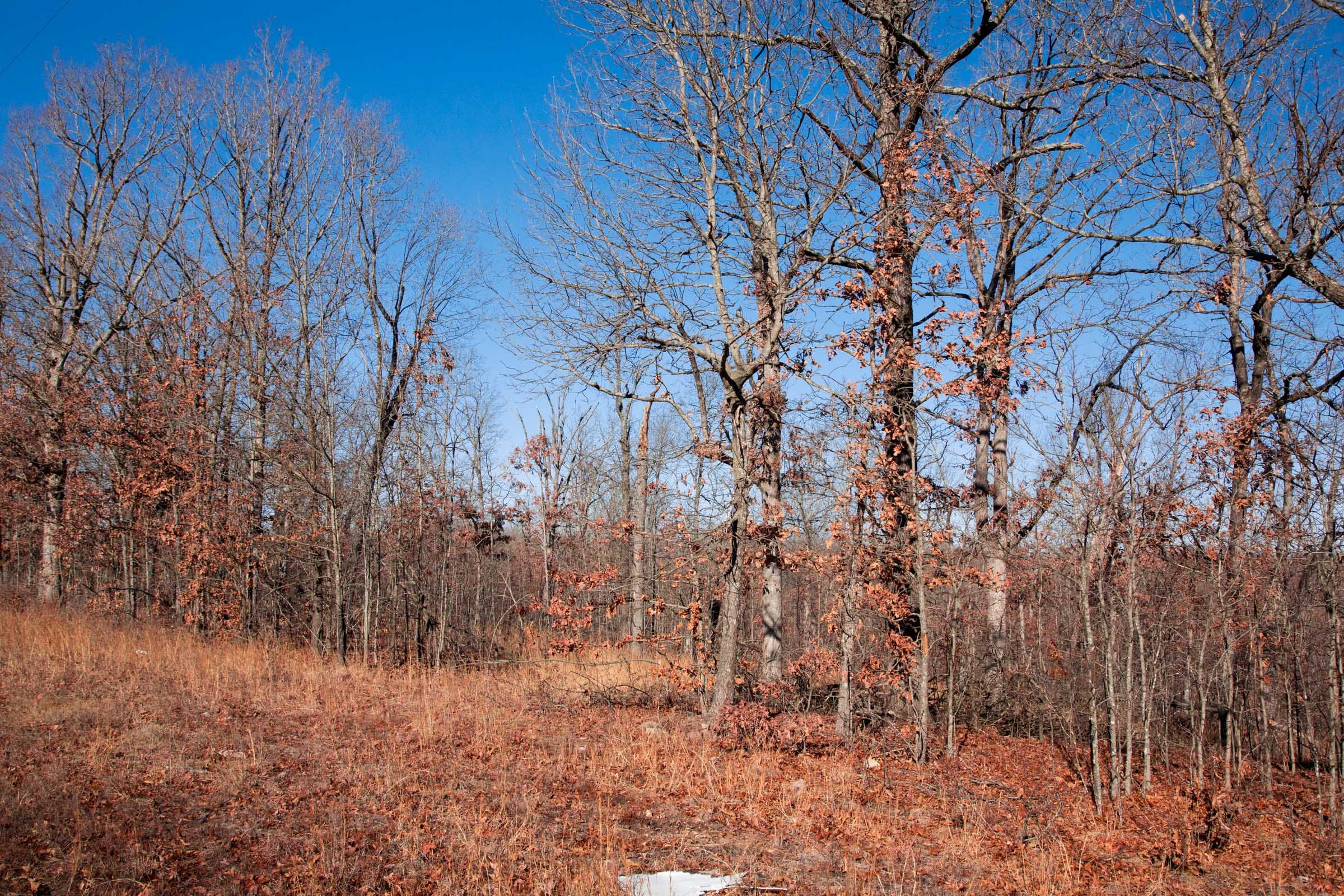 Buffalo Hills Tract 4 photo 4