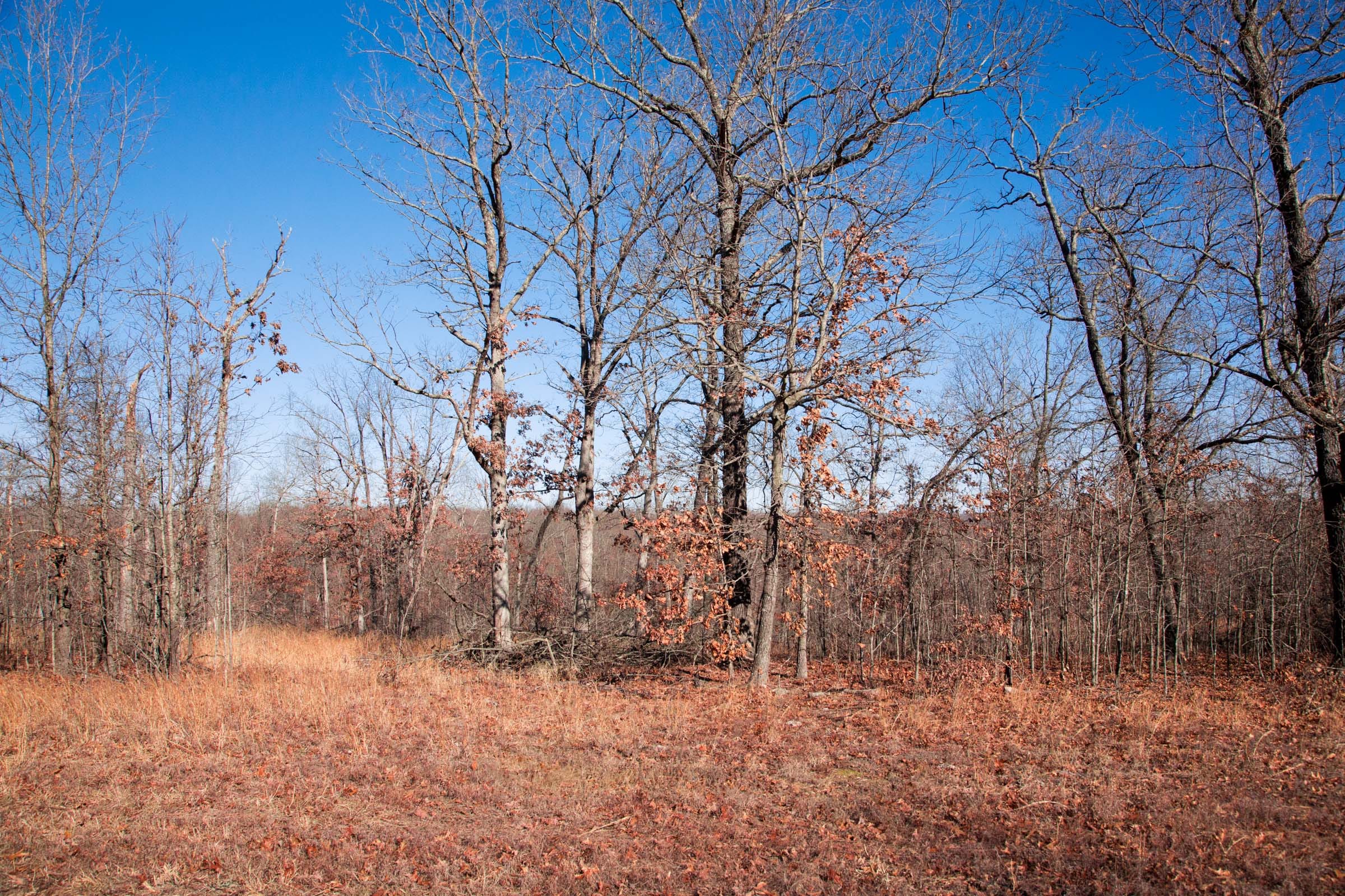 Buffalo Hills Tract 4 photo 5