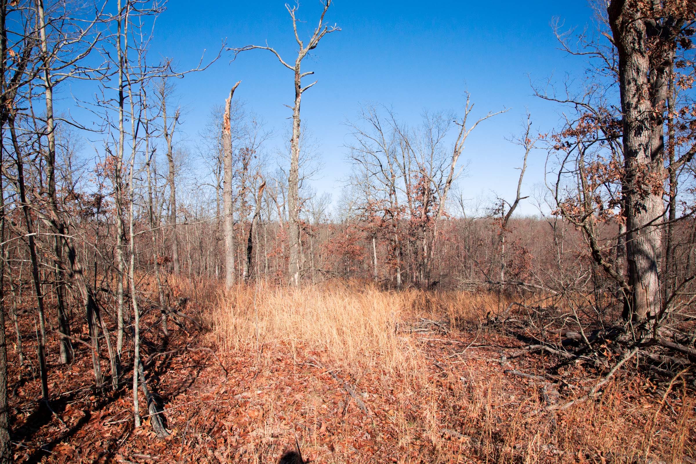 Buffalo Hills Tract 4 photo 6