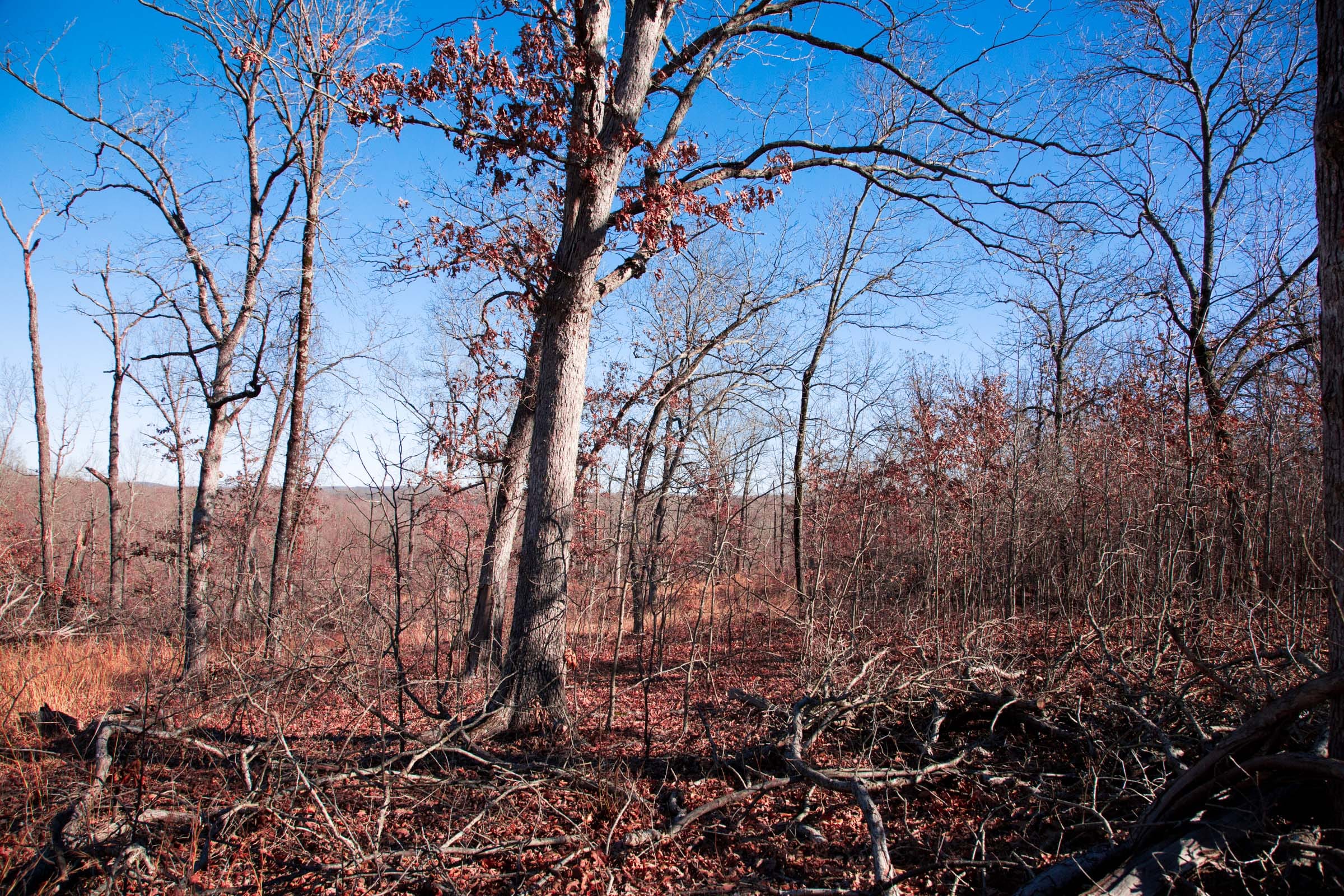 Buffalo Hills Tract 4 photo 7