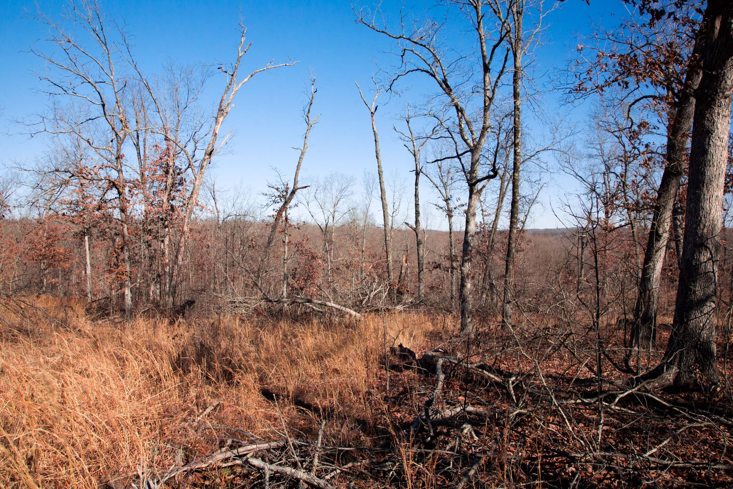 Buffalo Hills Tract 4 photo 8