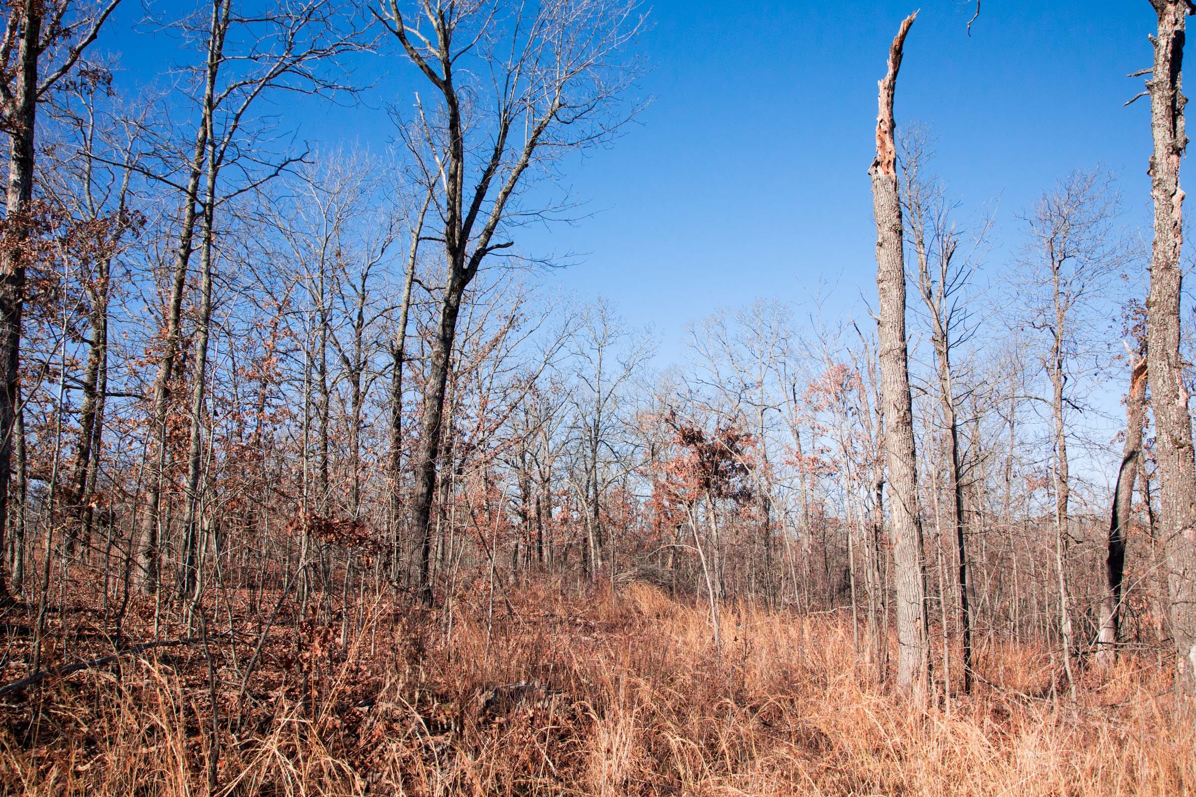 Buffalo Hills Tract 4 photo 9