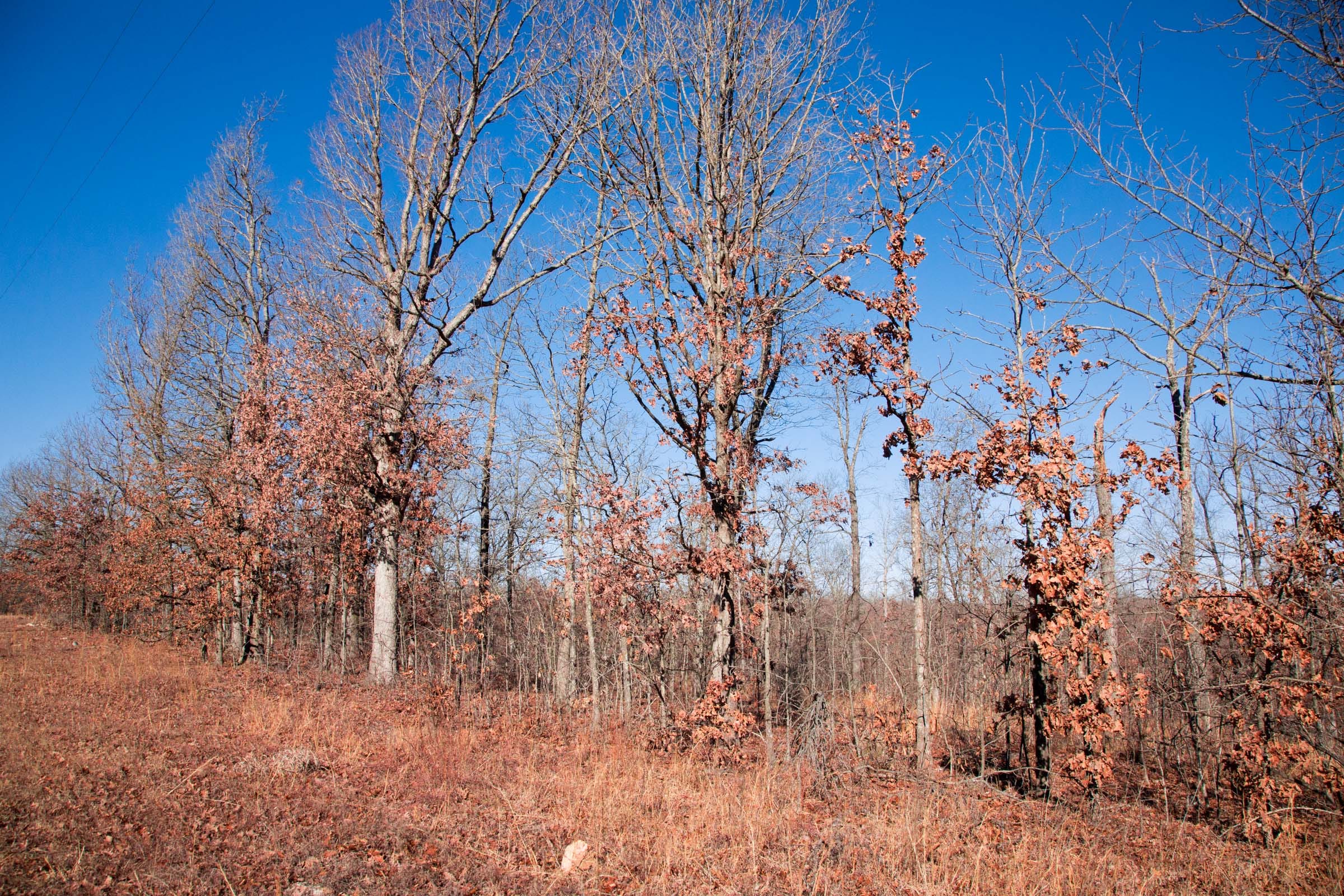 Buffalo Hills Tract 4 photo 10