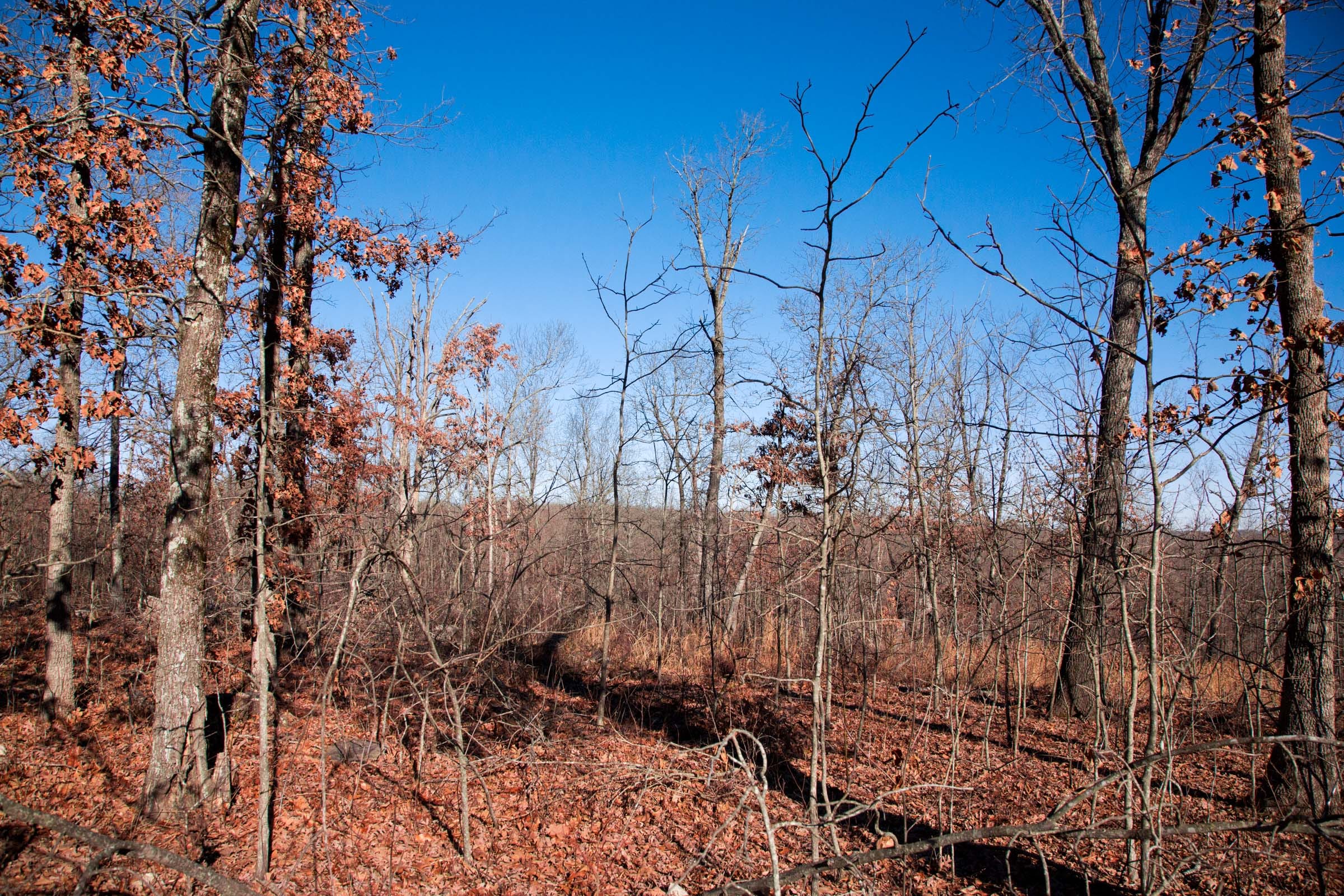 Buffalo Hills Tract 4 photo 11