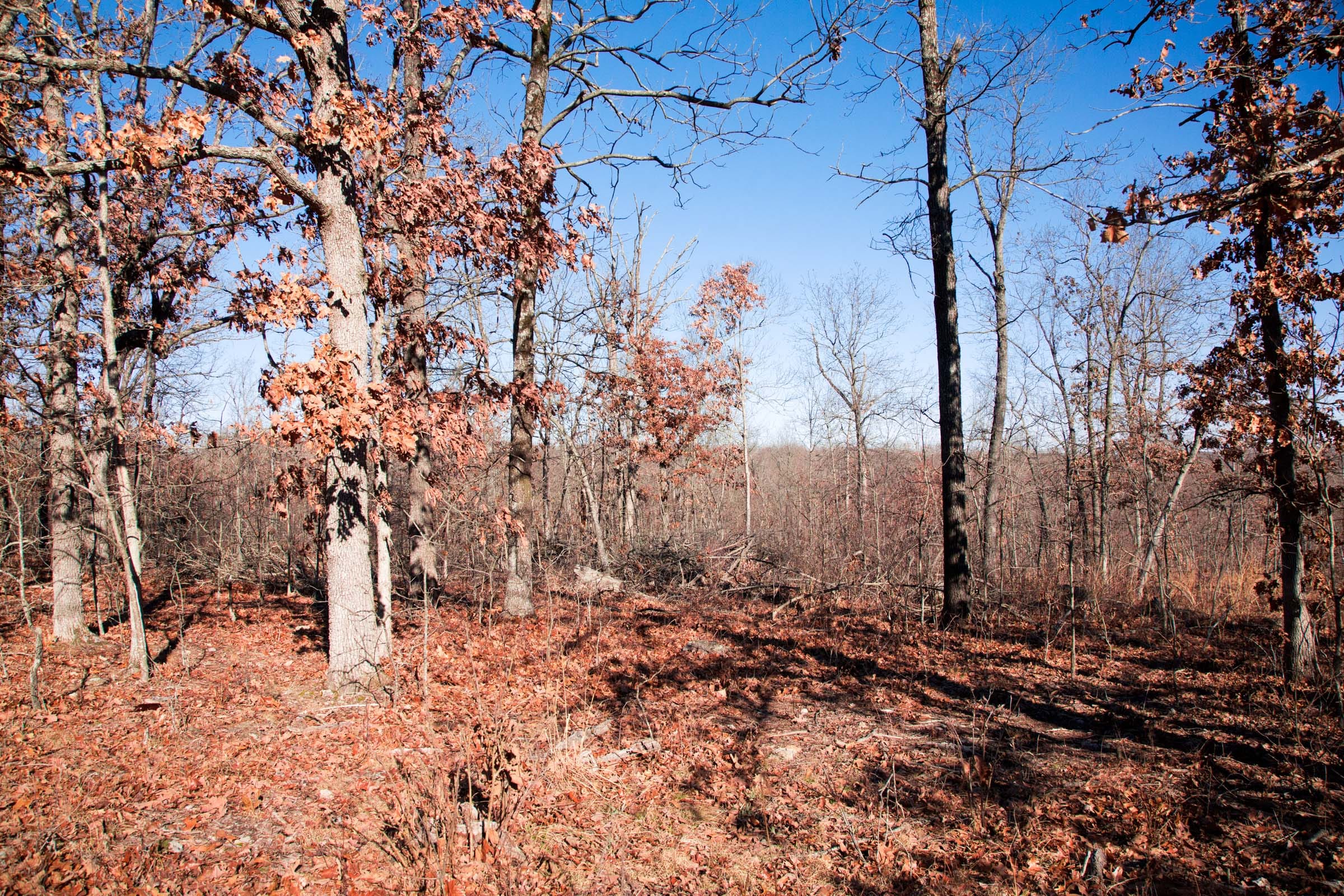Buffalo Hills Tract 4 photo 12