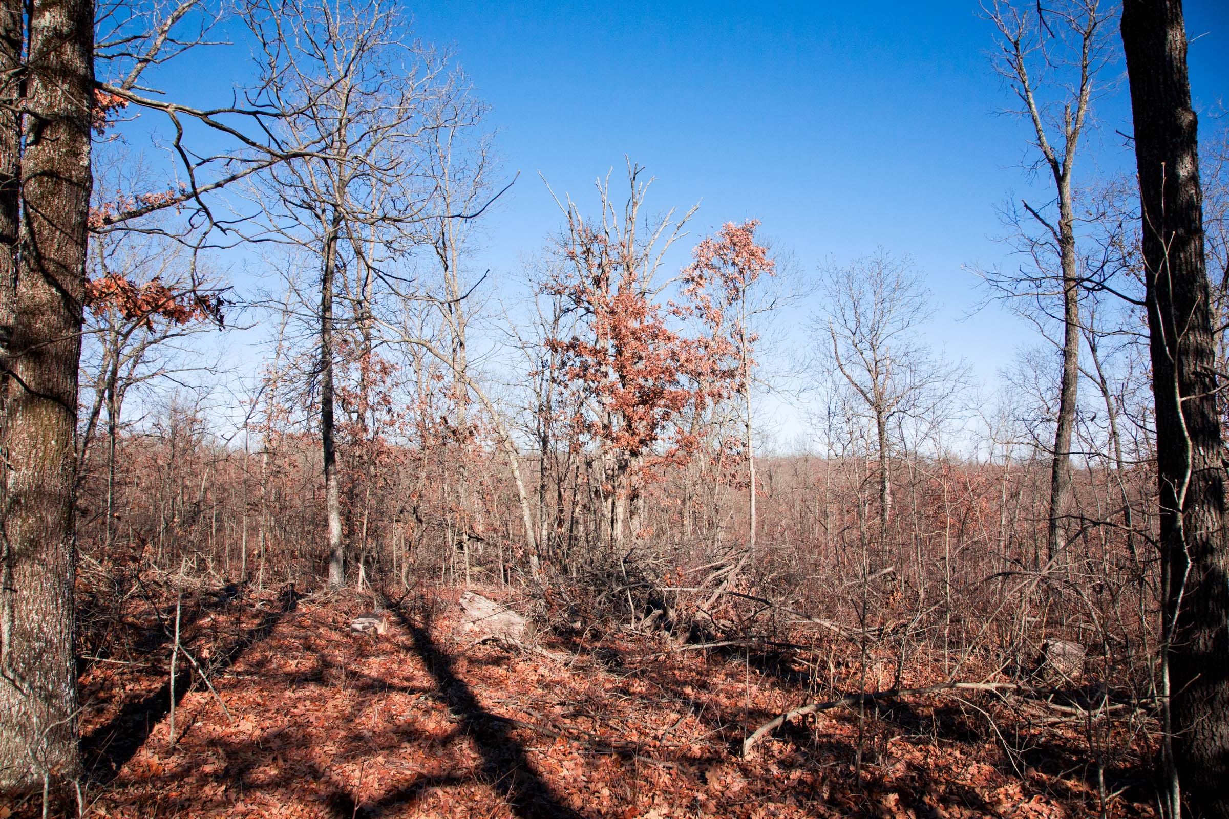 Buffalo Hills Tract 4 photo 13