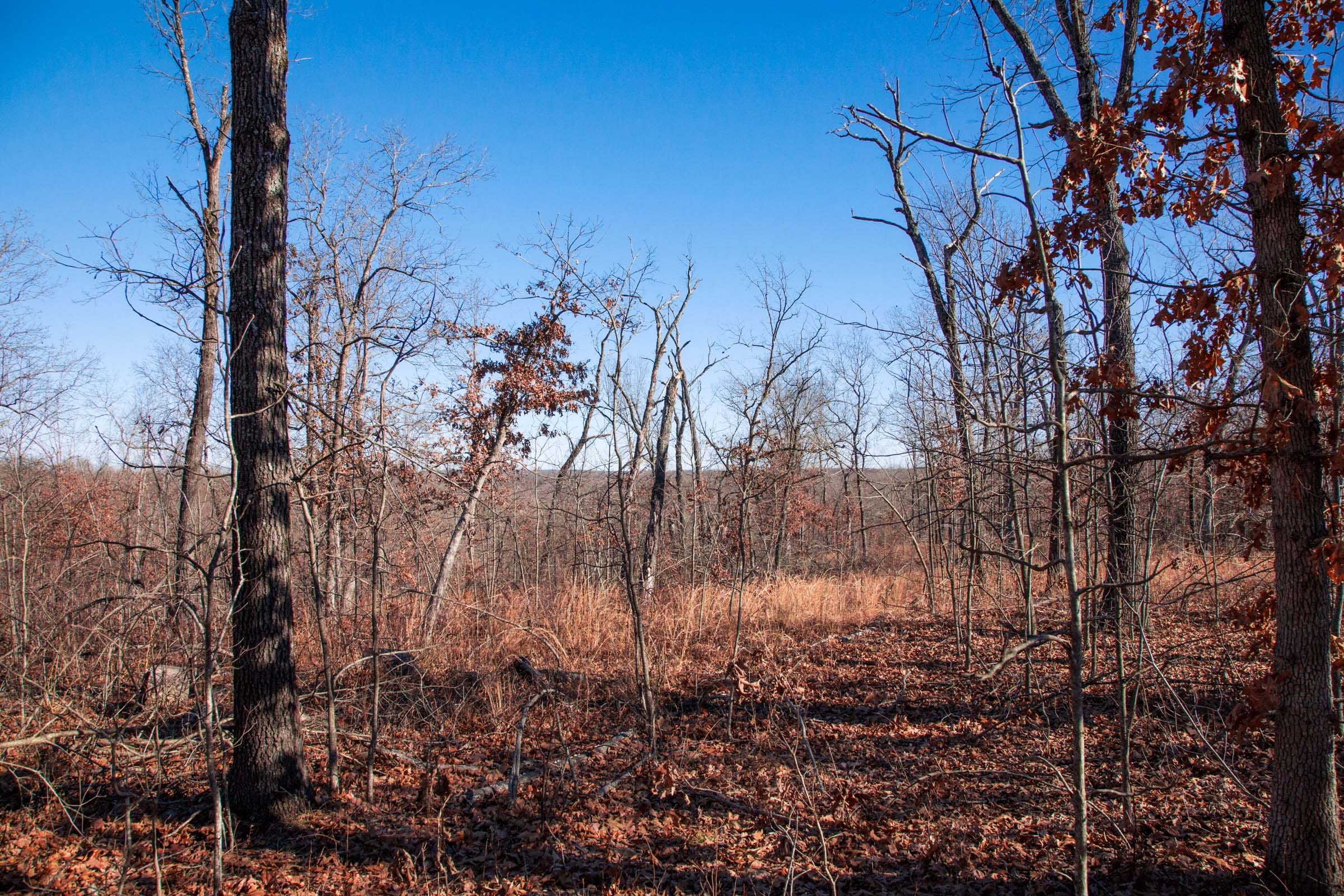 Buffalo Hills Tract 4 photo 14