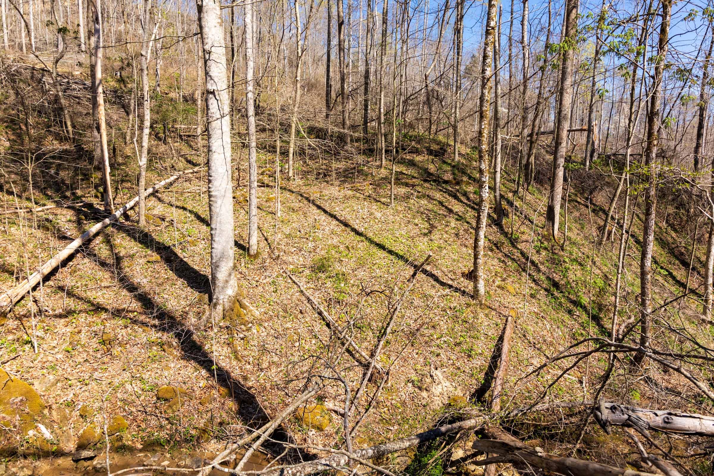 Creek Hollow Phase I Tract 48 photo 2