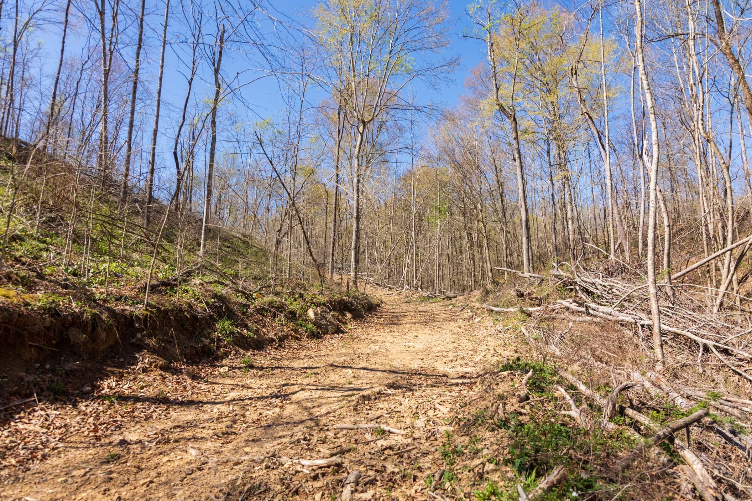 Creek Hollow Phase I Tract 48 photo 3