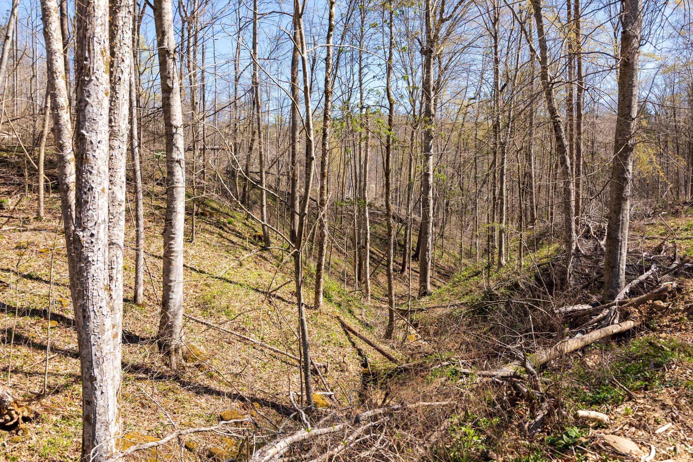 Creek Hollow Phase I Tract 48 photo 4