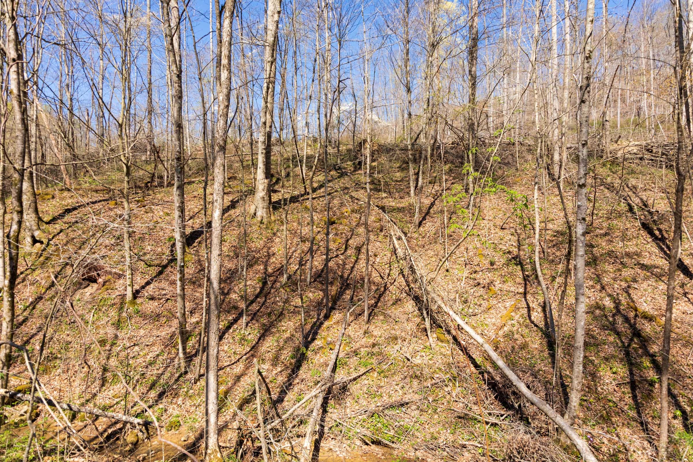 Creek Hollow Phase I Tract 48 photo 7