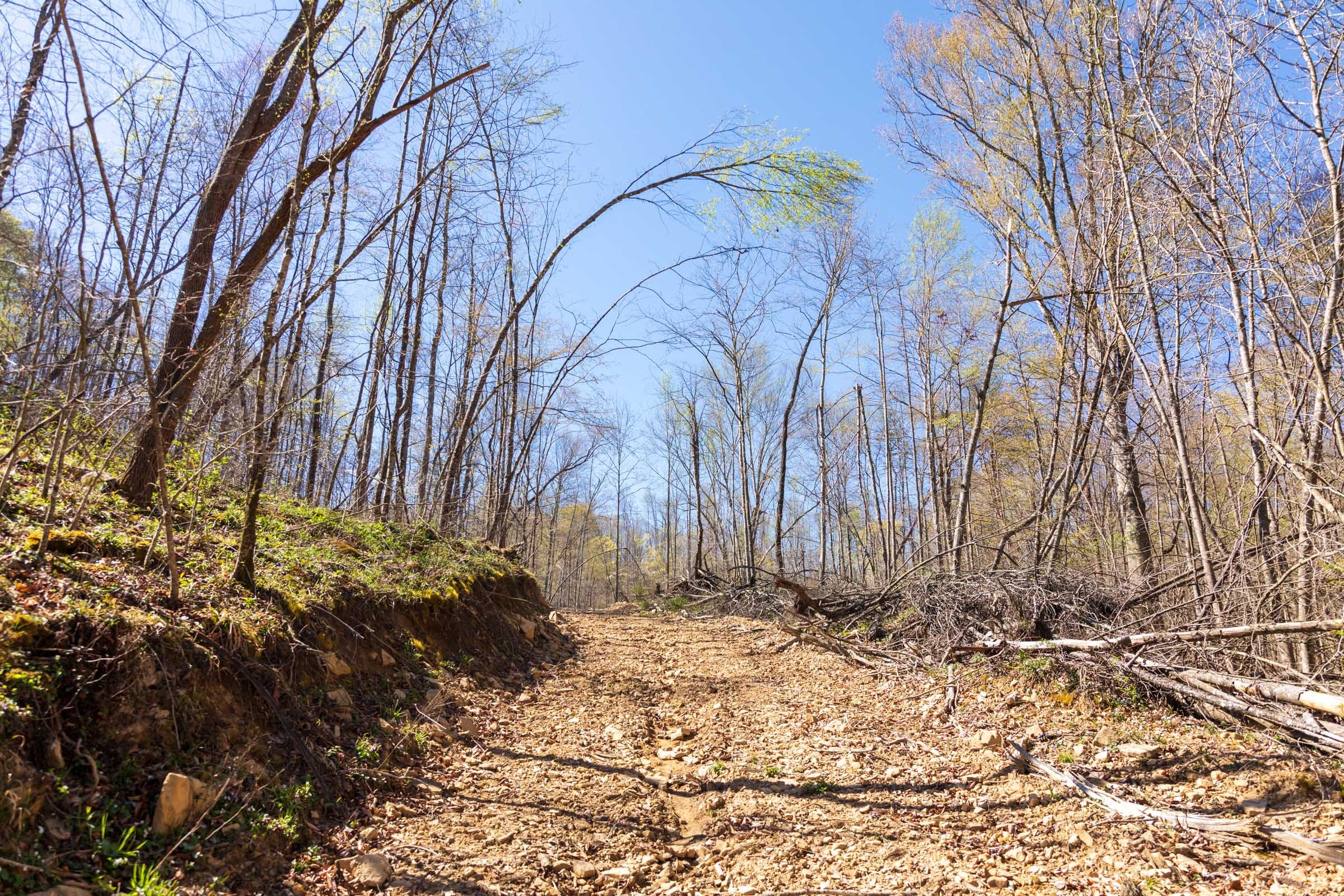 Creek Hollow Phase I Tract 48 photo 6