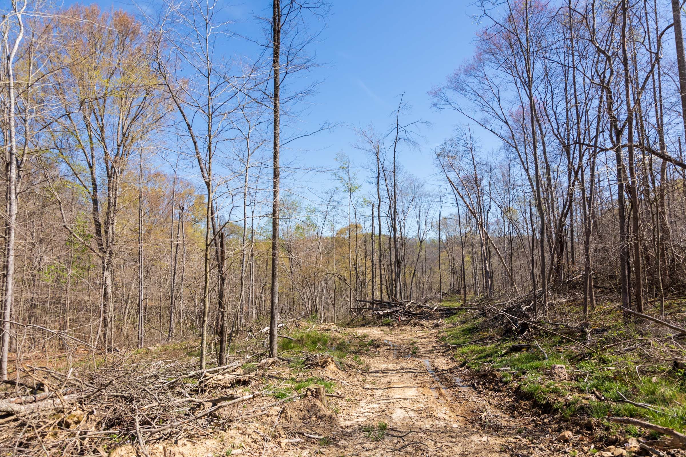 Creek Hollow Phase I Tract 48 photo 9