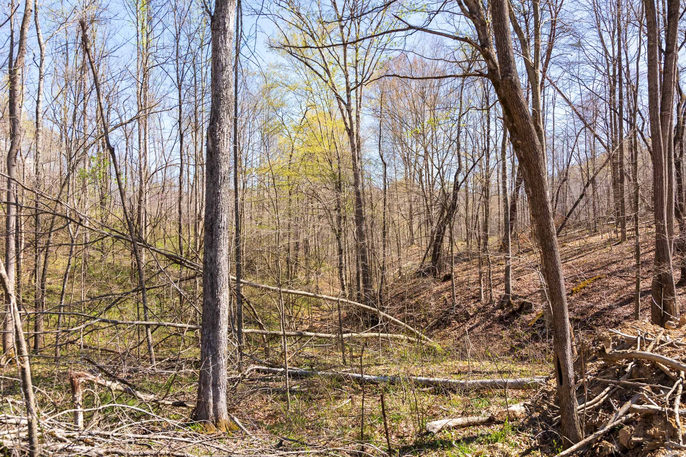 Creek Hollow Phase I Tract 48 photo 10