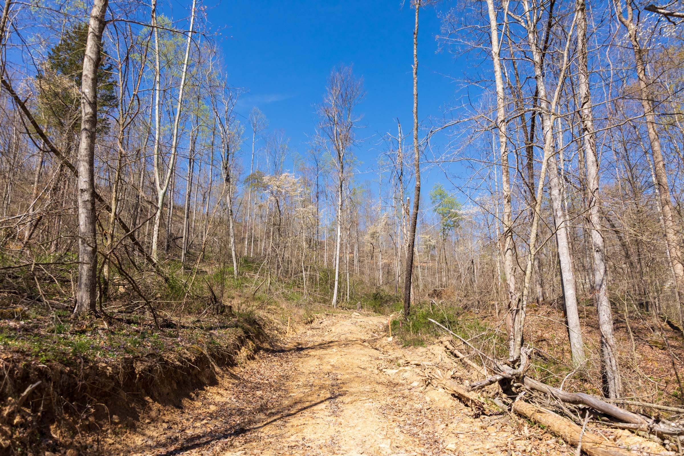 Creek Hollow Phase I Tract 48 photo 1