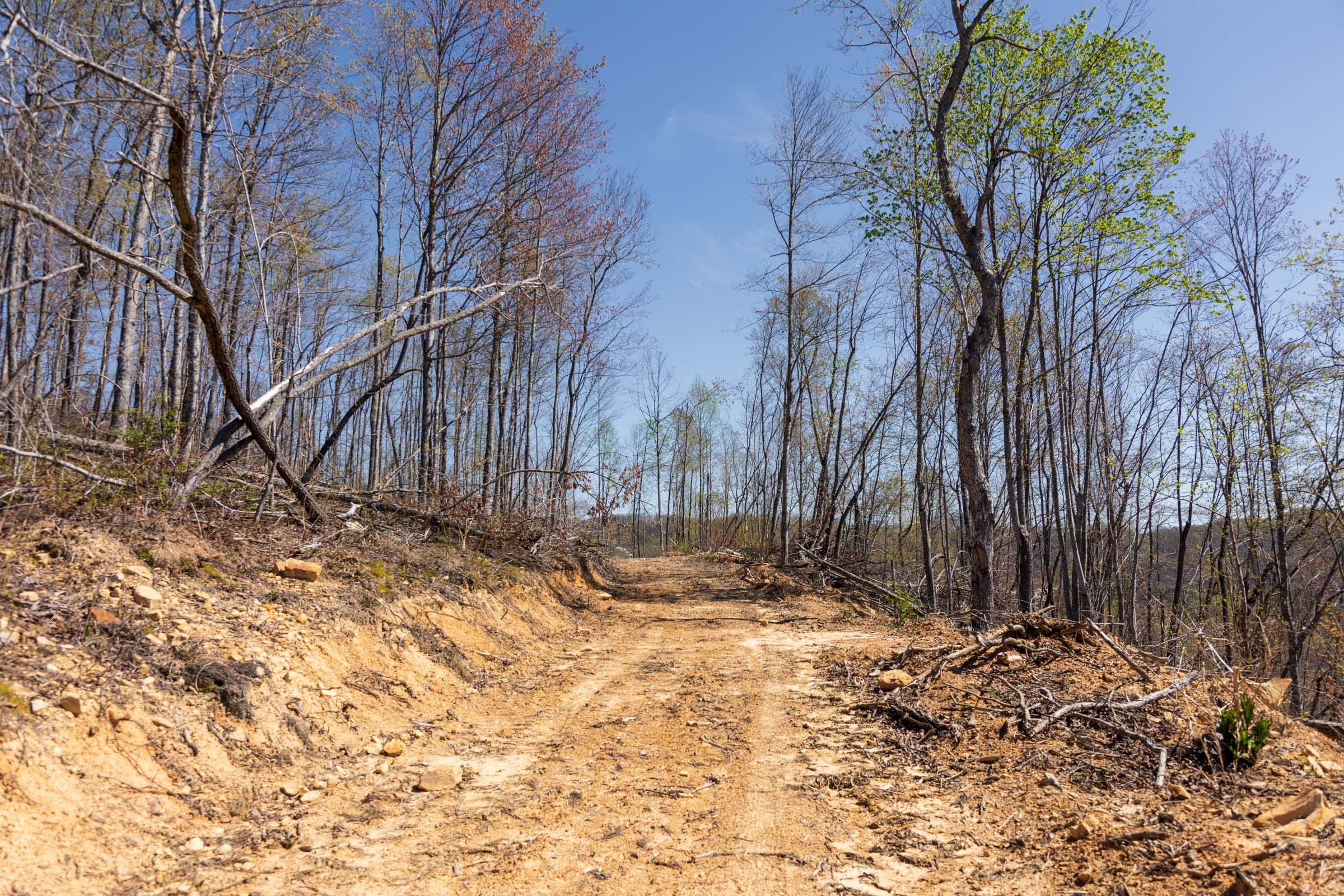 Creek Hollow Phase I Tract 48 photo 12