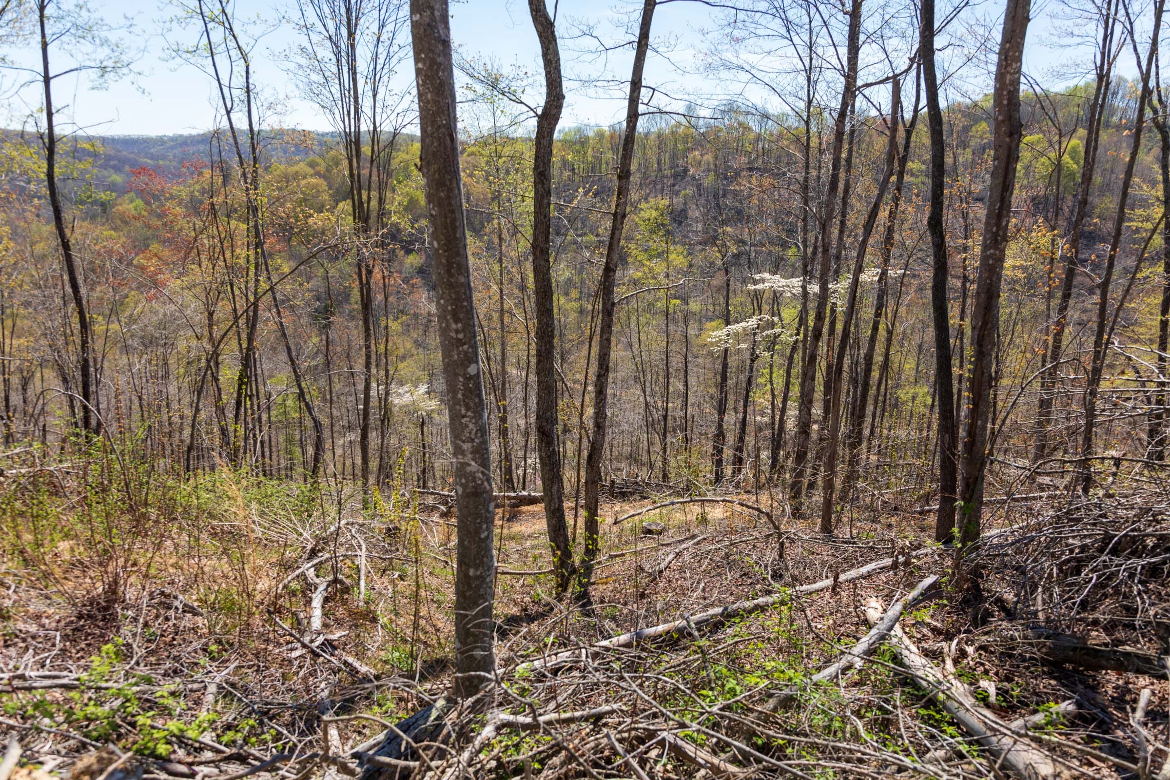 Creek Hollow Phase I Tract 48 photo 13