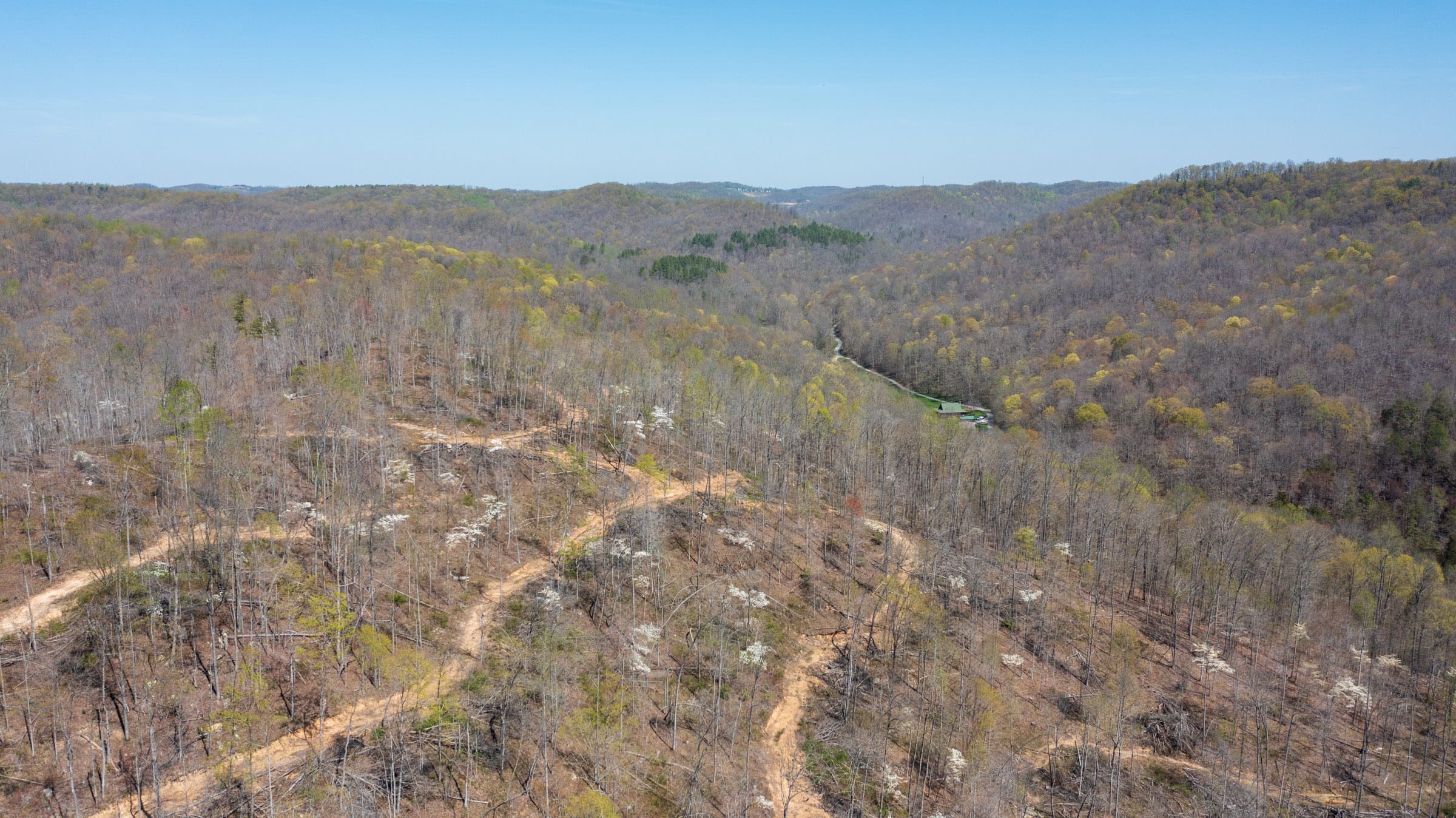 Creek Hollow Phase I Tract 48 photo 14