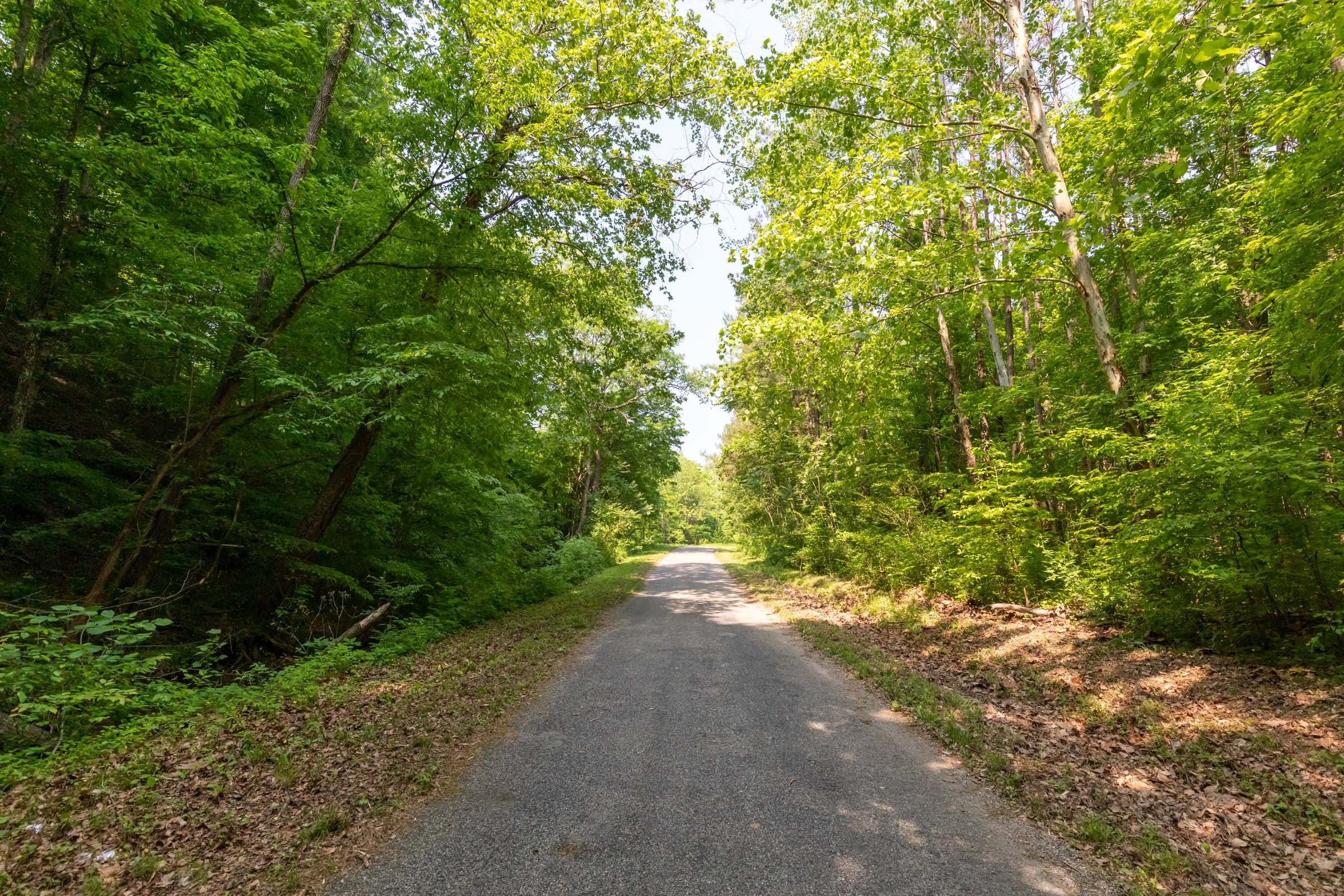 Cedar Creek Tract 50 photo 1