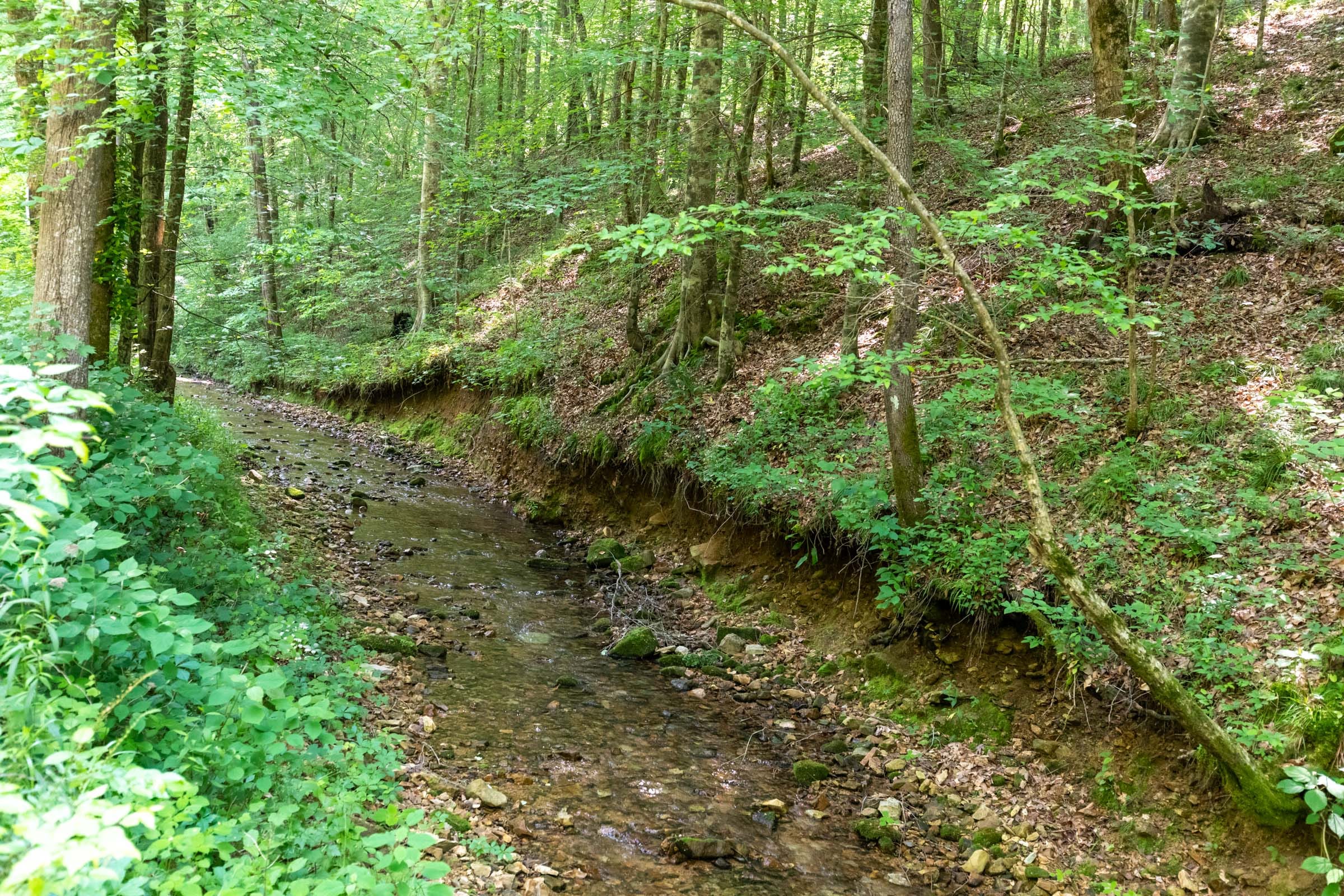 Cedar Creek Tract 50 photo 2