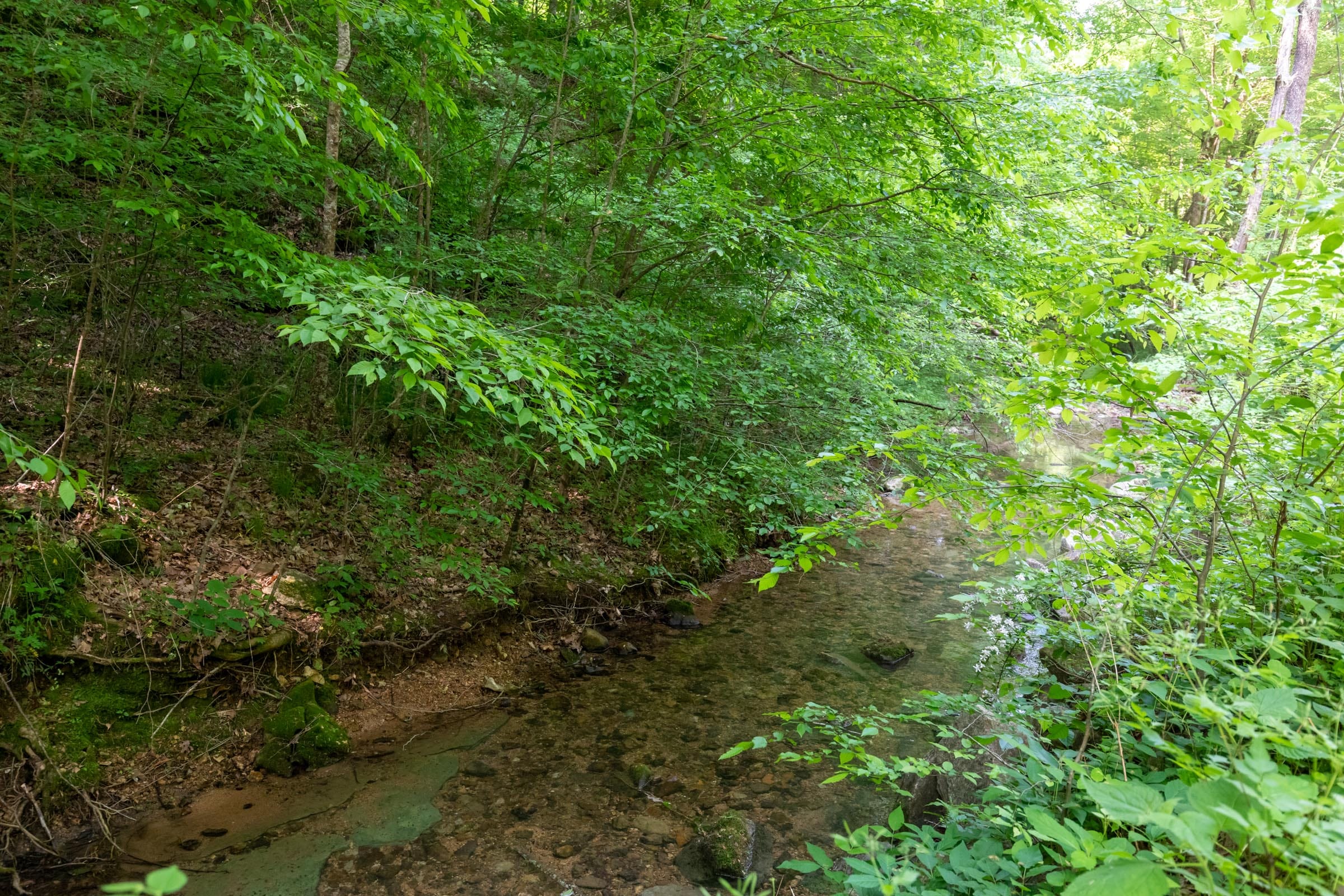 Cedar Creek Tract 50 photo 3