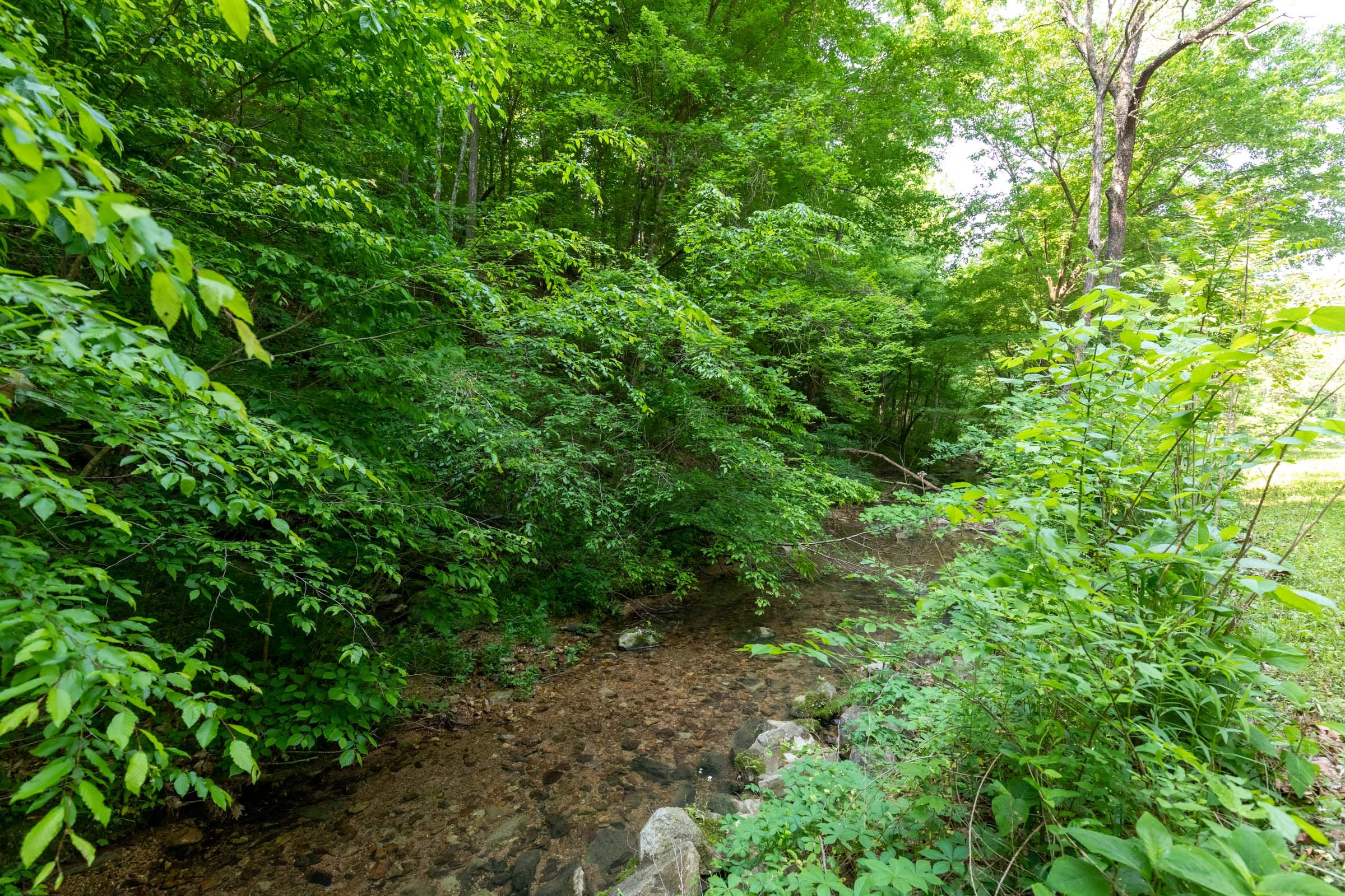 Cedar Creek Tract 50 photo 4
