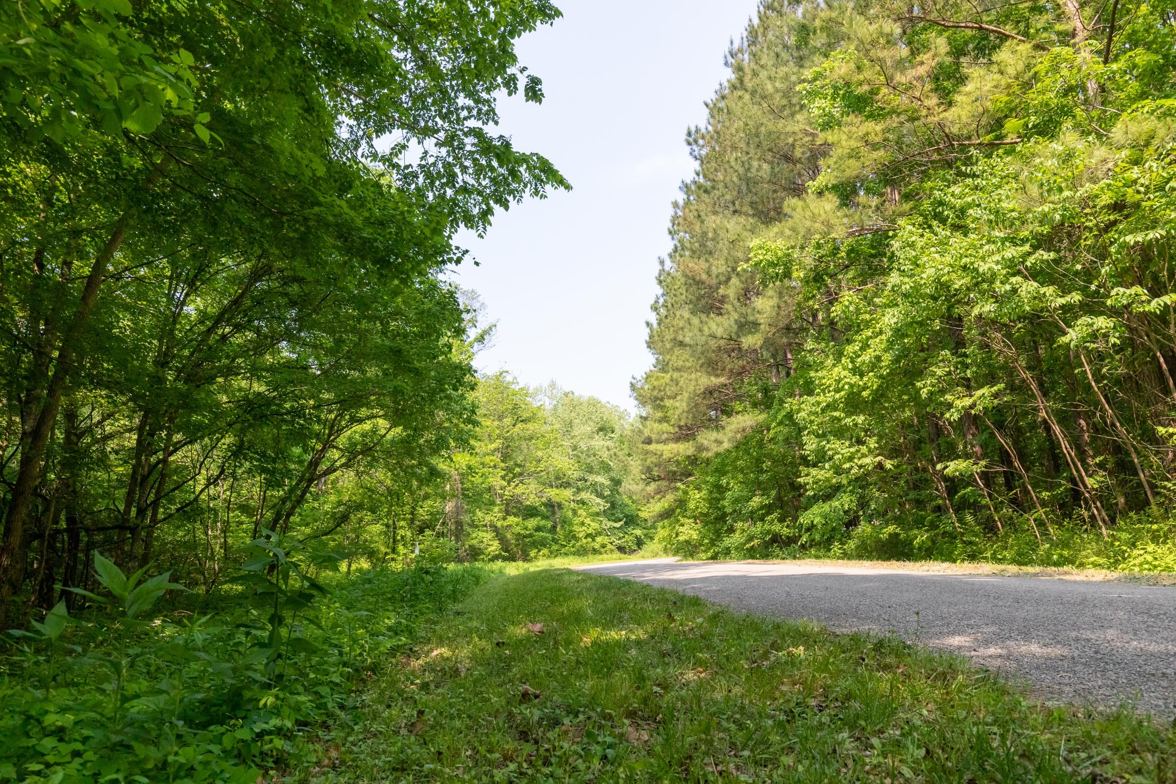 Cedar Creek Tract 50 photo 14