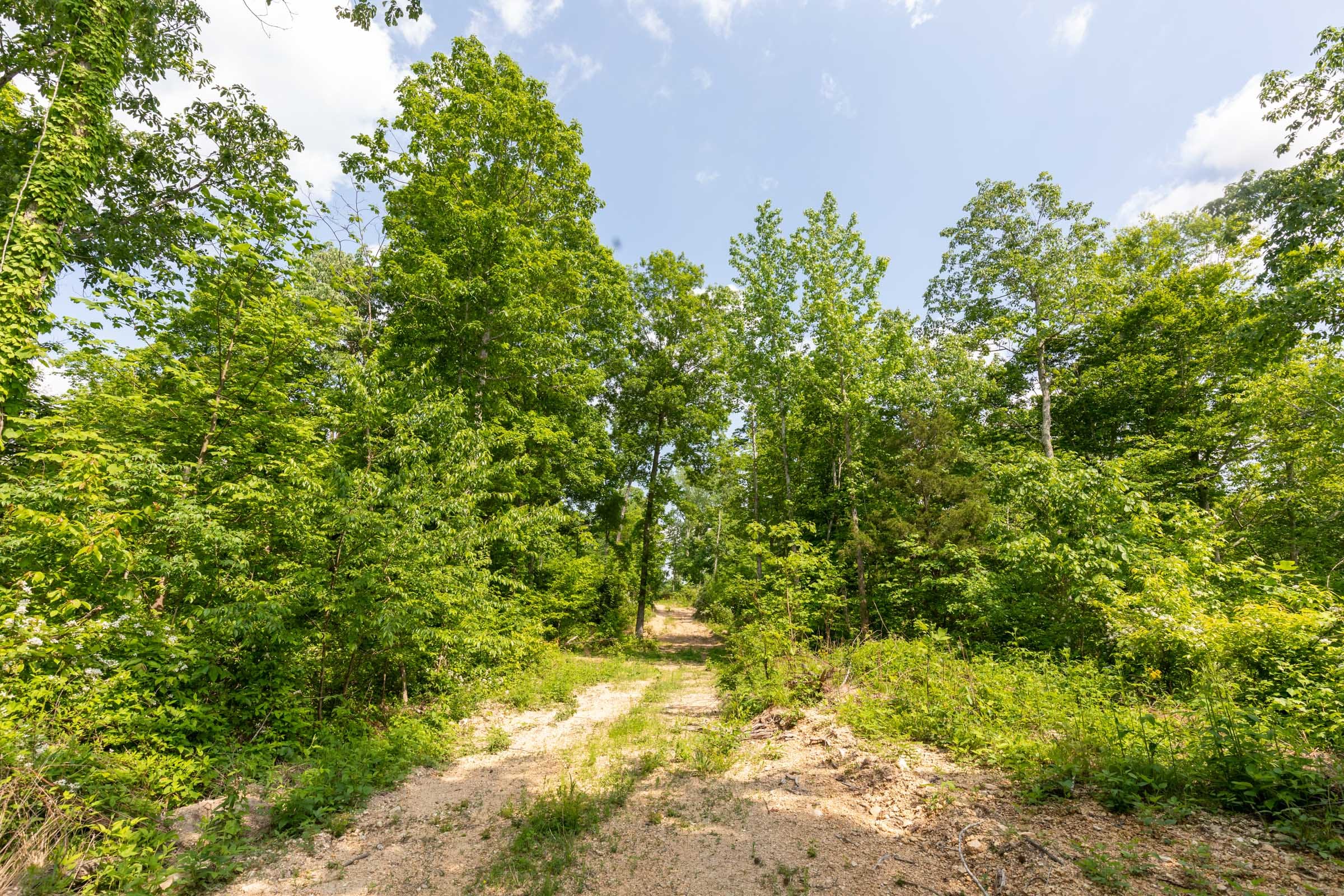 Cedar Creek Tract 50 photo 5