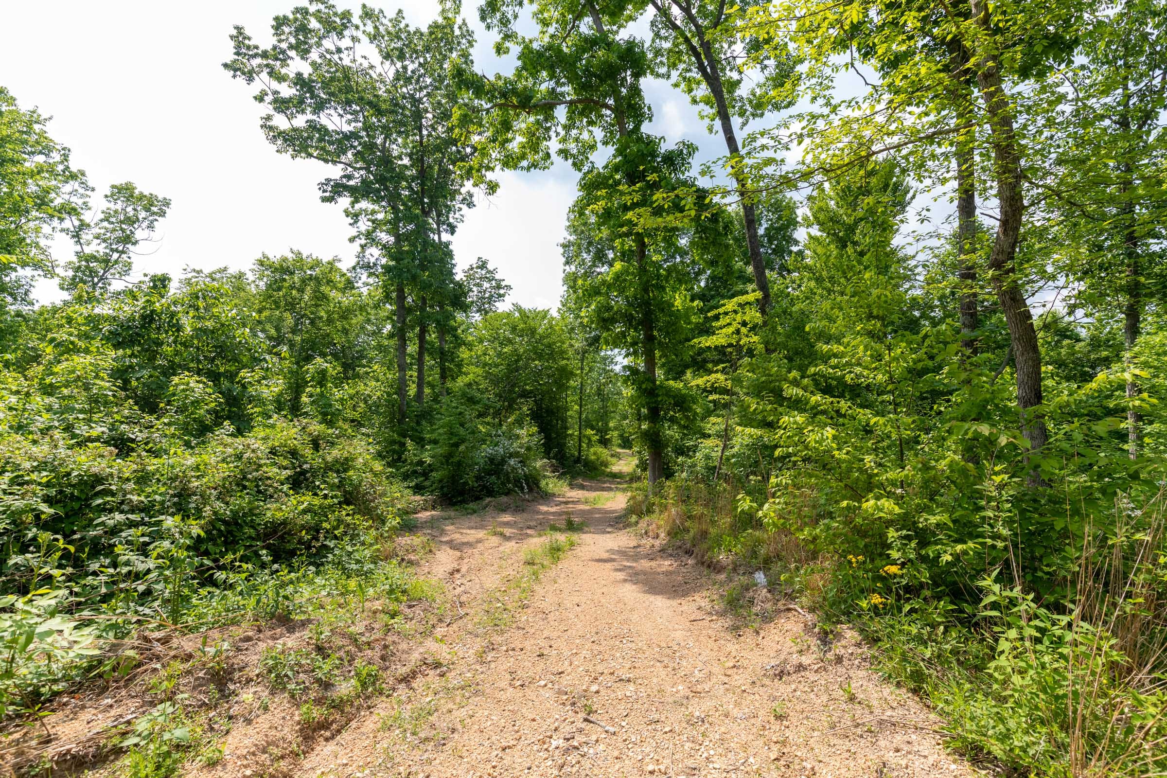 Cedar Creek Tract 50 photo 10