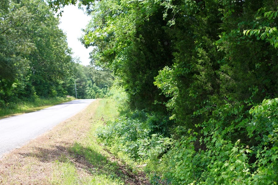 Bluebird Ranch Tract 10 photo 4