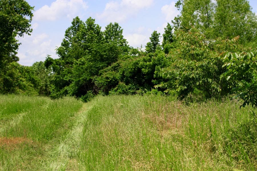 Bluebird Ranch Tract 10 photo 11