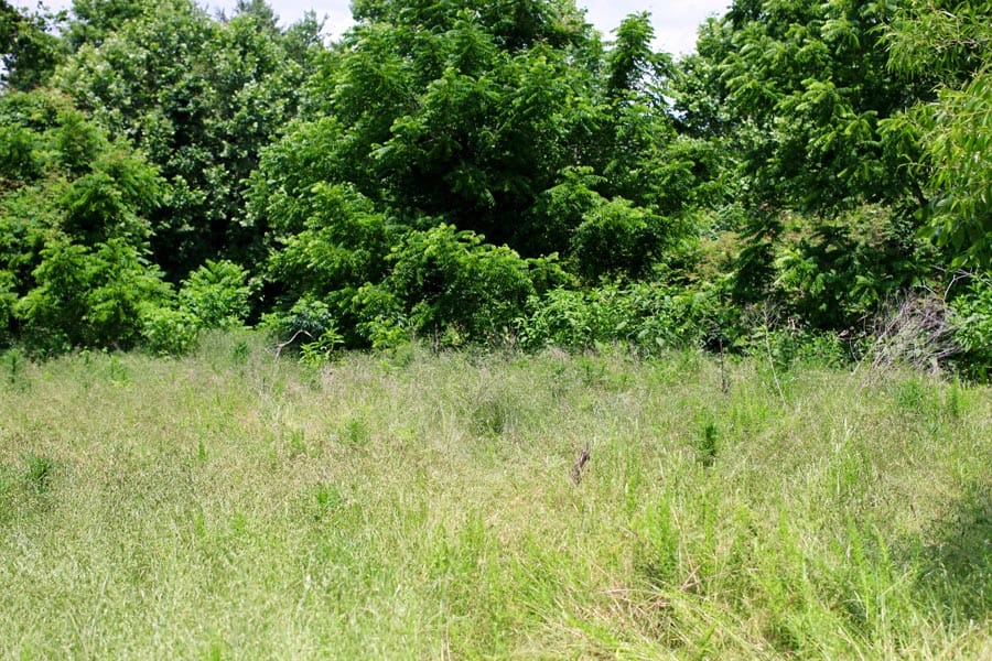 Bluebird Ranch Tract 10 photo 14