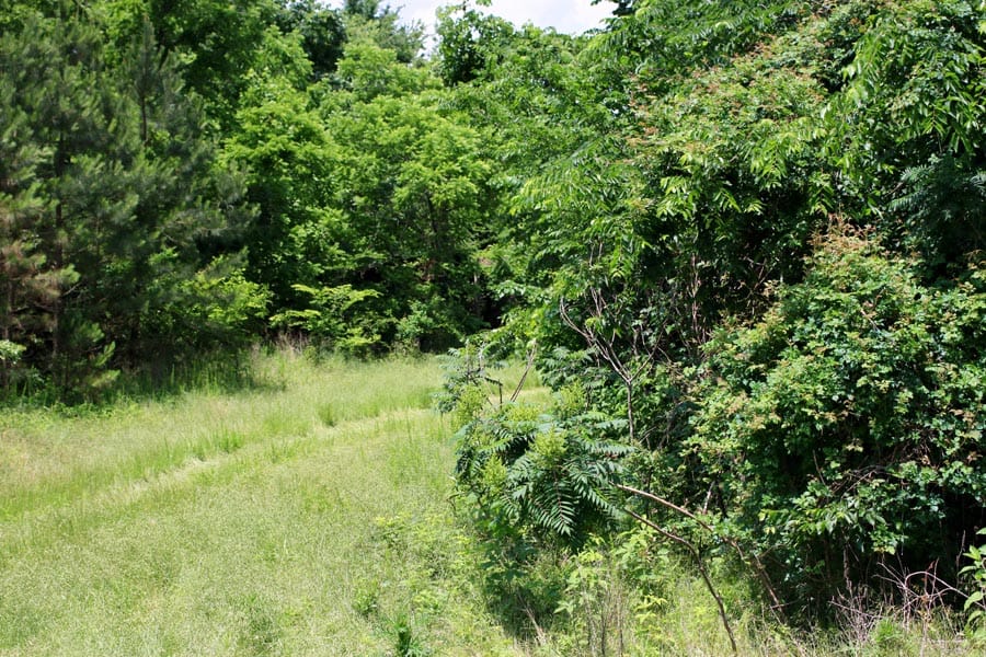 Bluebird Ranch Tract 10 photo 16