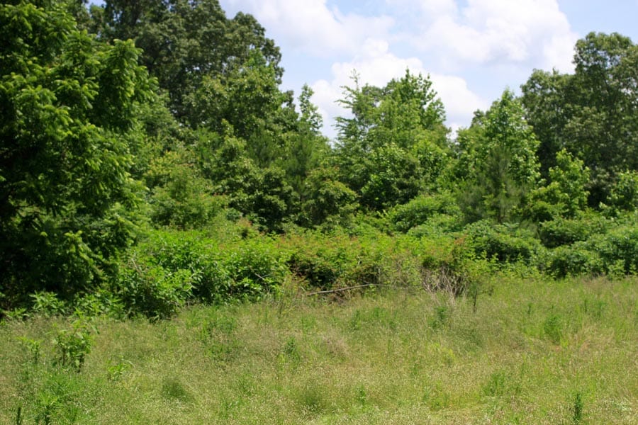 Bluebird Ranch Tract 10 photo 18