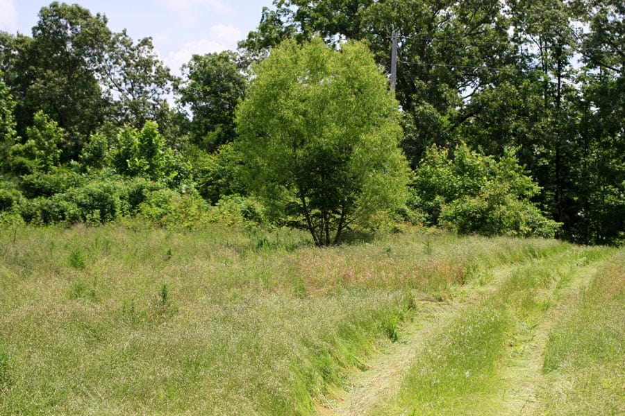 Bluebird Ranch Tract 10 photo 19
