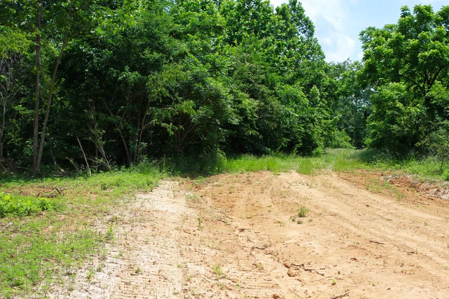 Bluebird Ranch Tract 10 photo 23